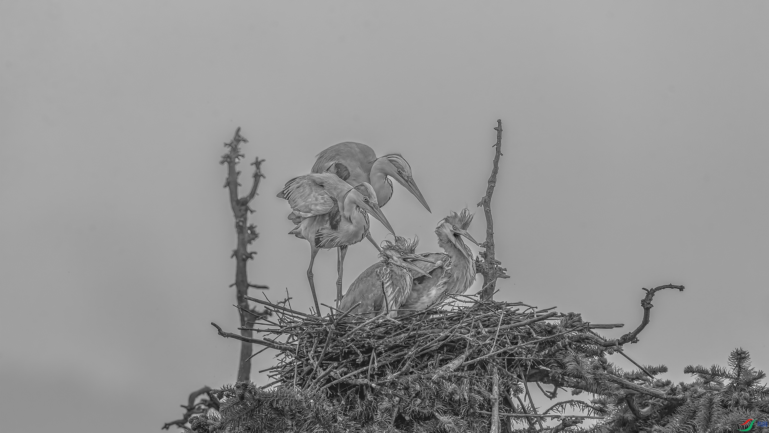 _09R1069 ����.jpg