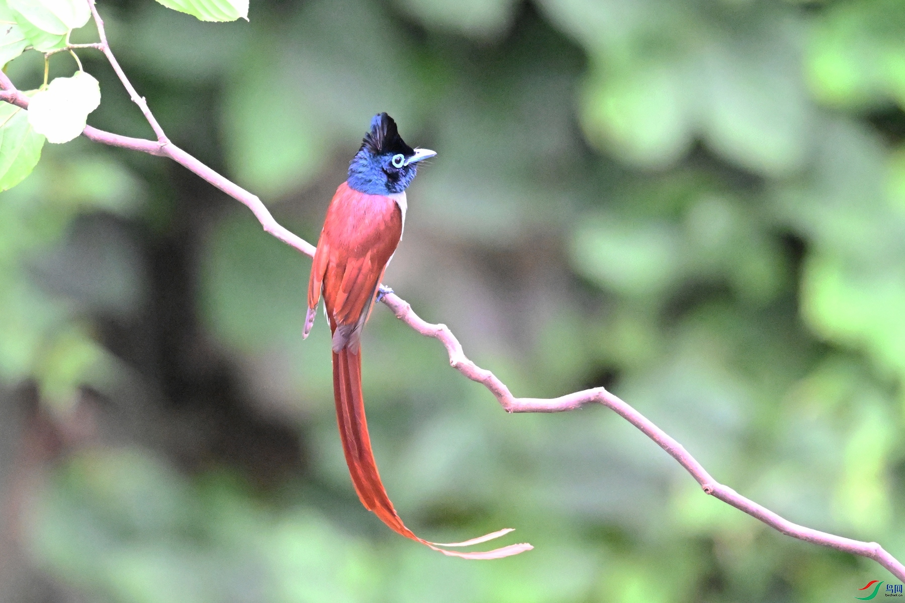 DSC_6701.JPG