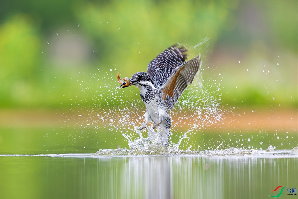 hbgsR3250411  (1437).jpg