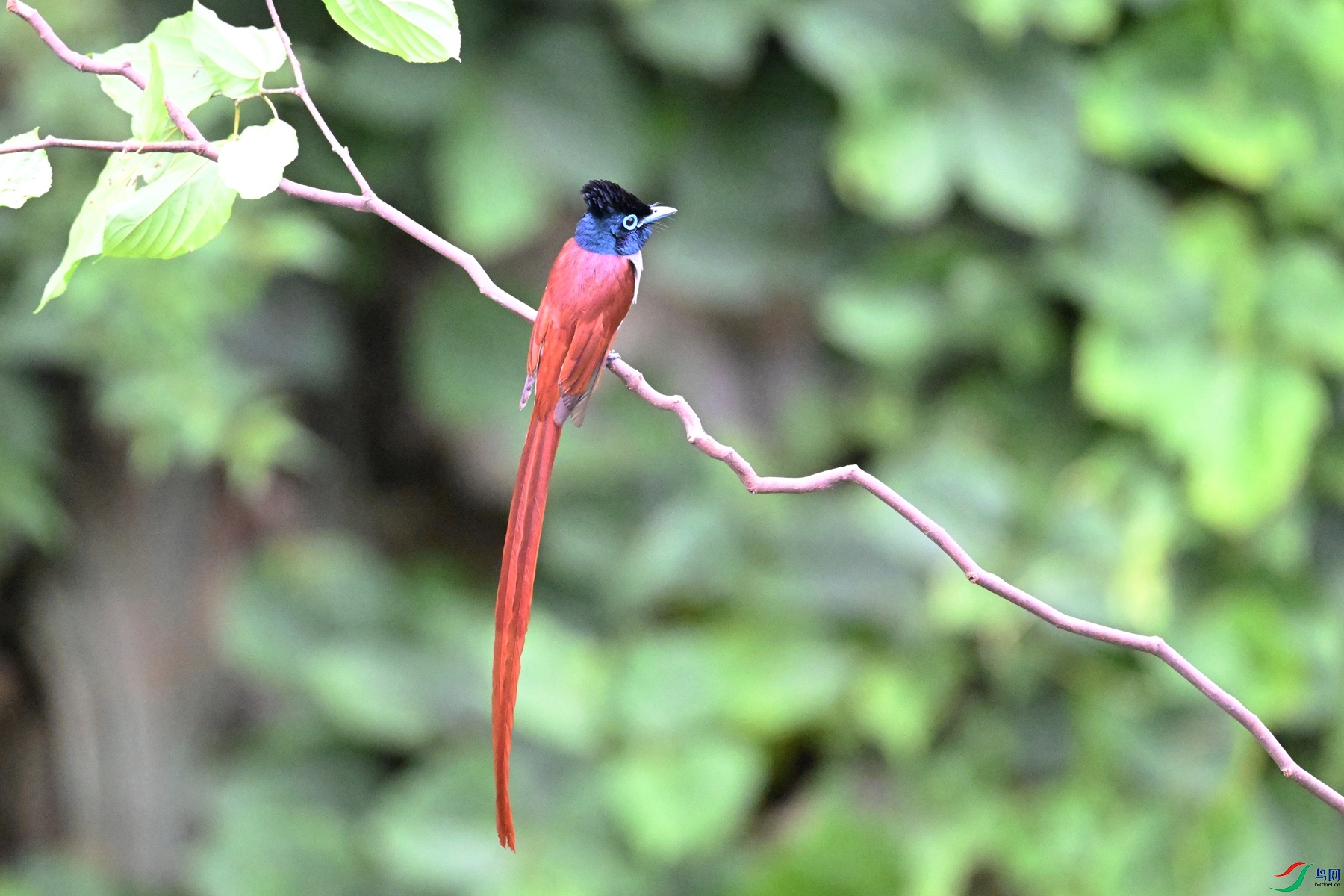 DSC_6717.JPG