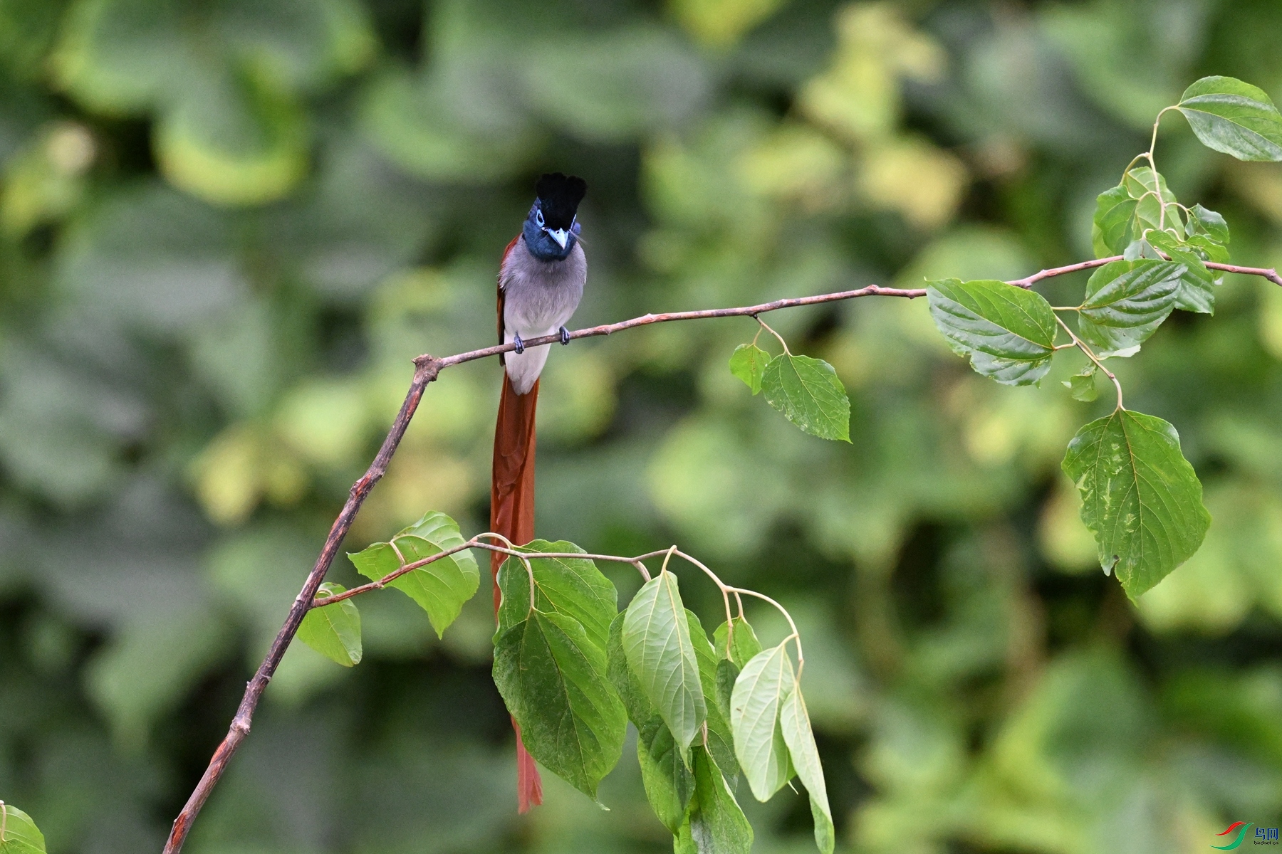 DSC_6736.JPG