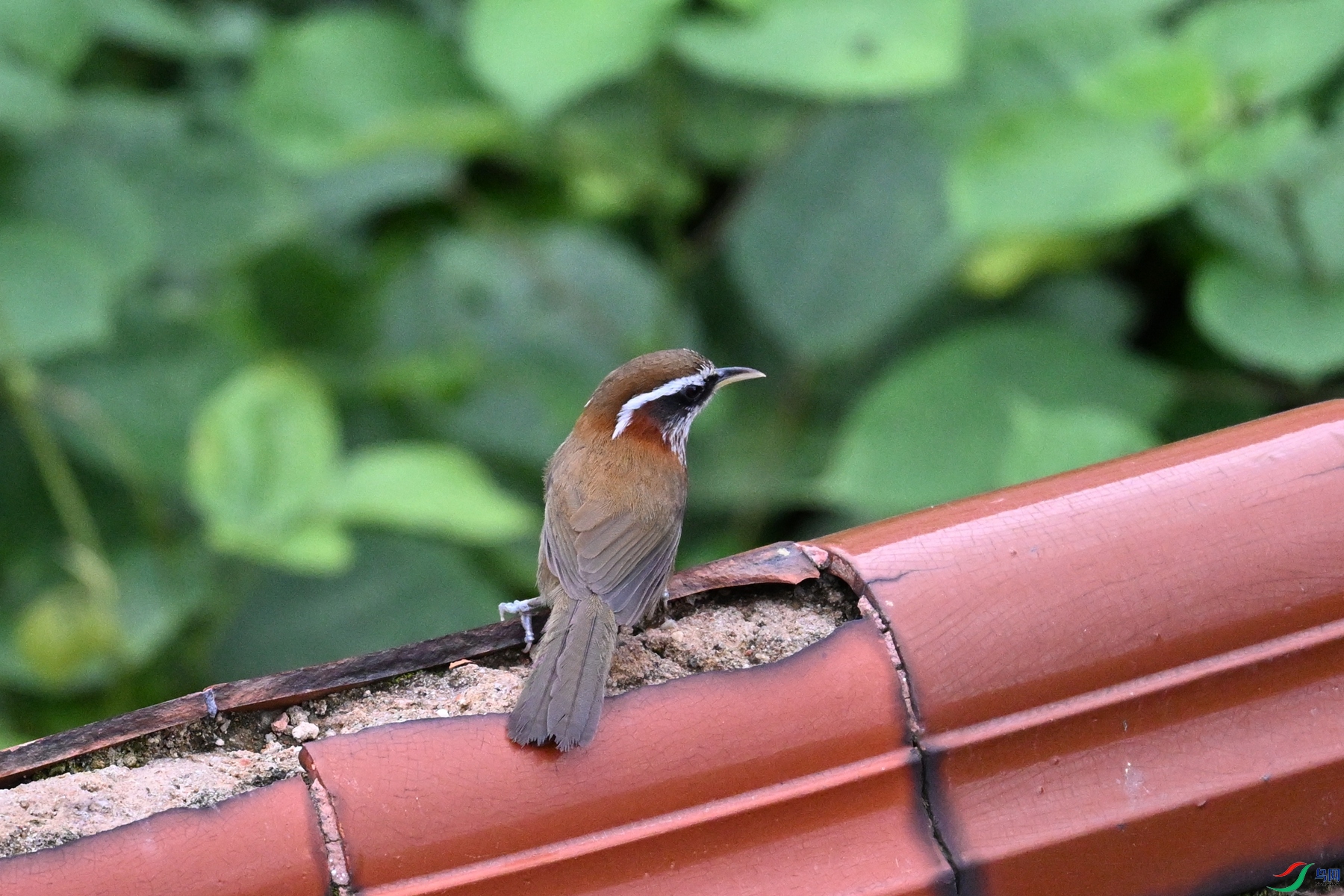 DSC_6721.JPG