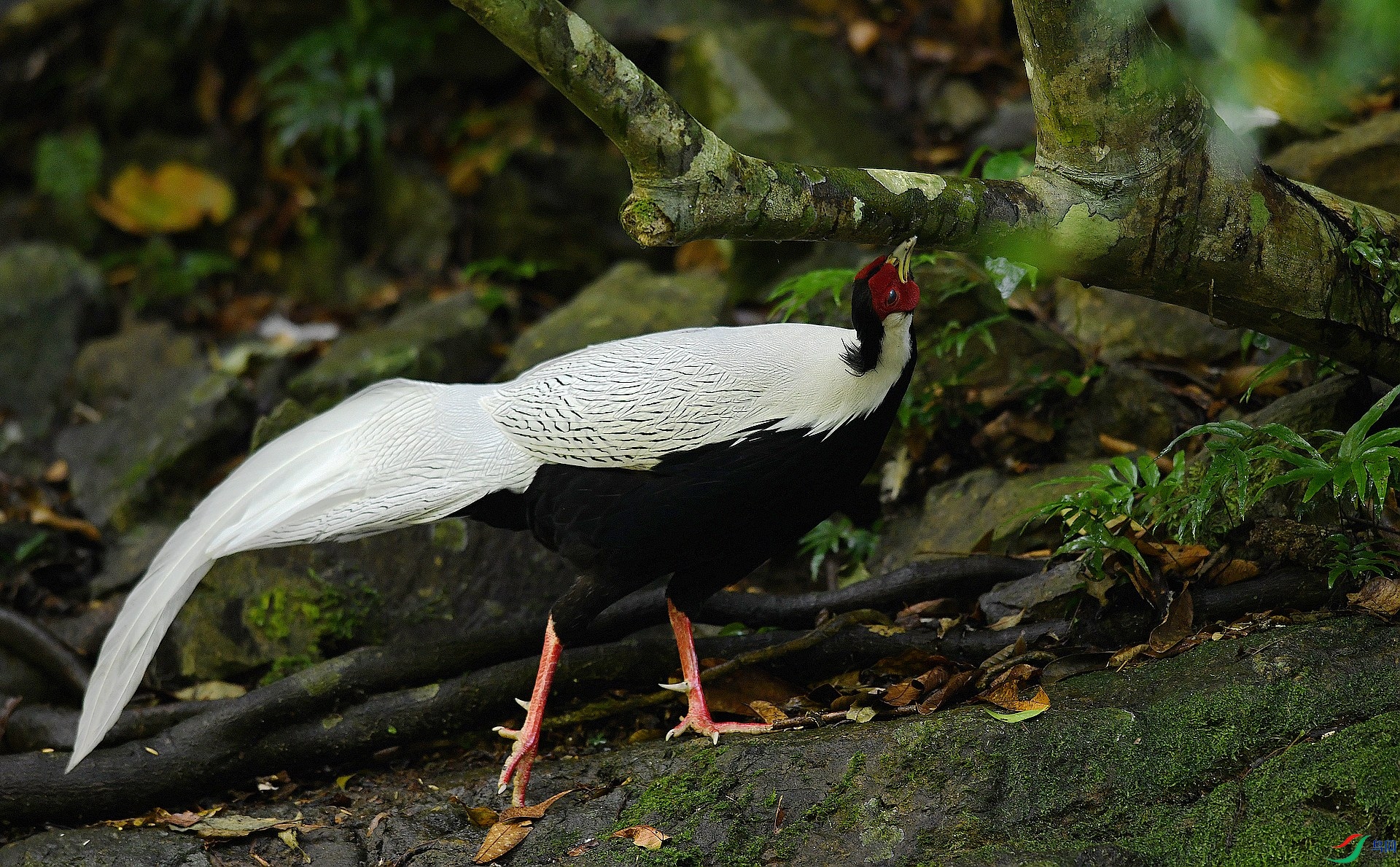 DSC_0622.jpg