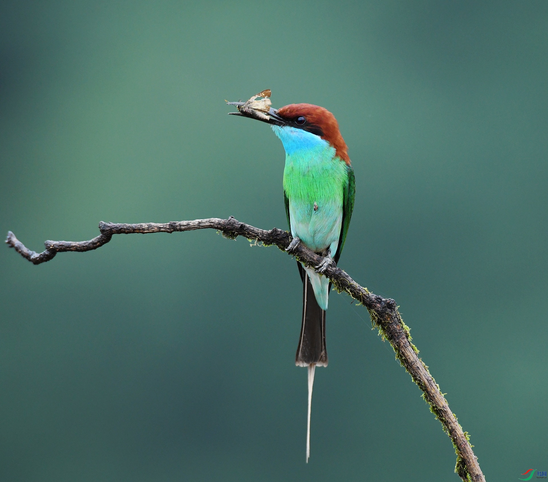 DSC_3914.jpg