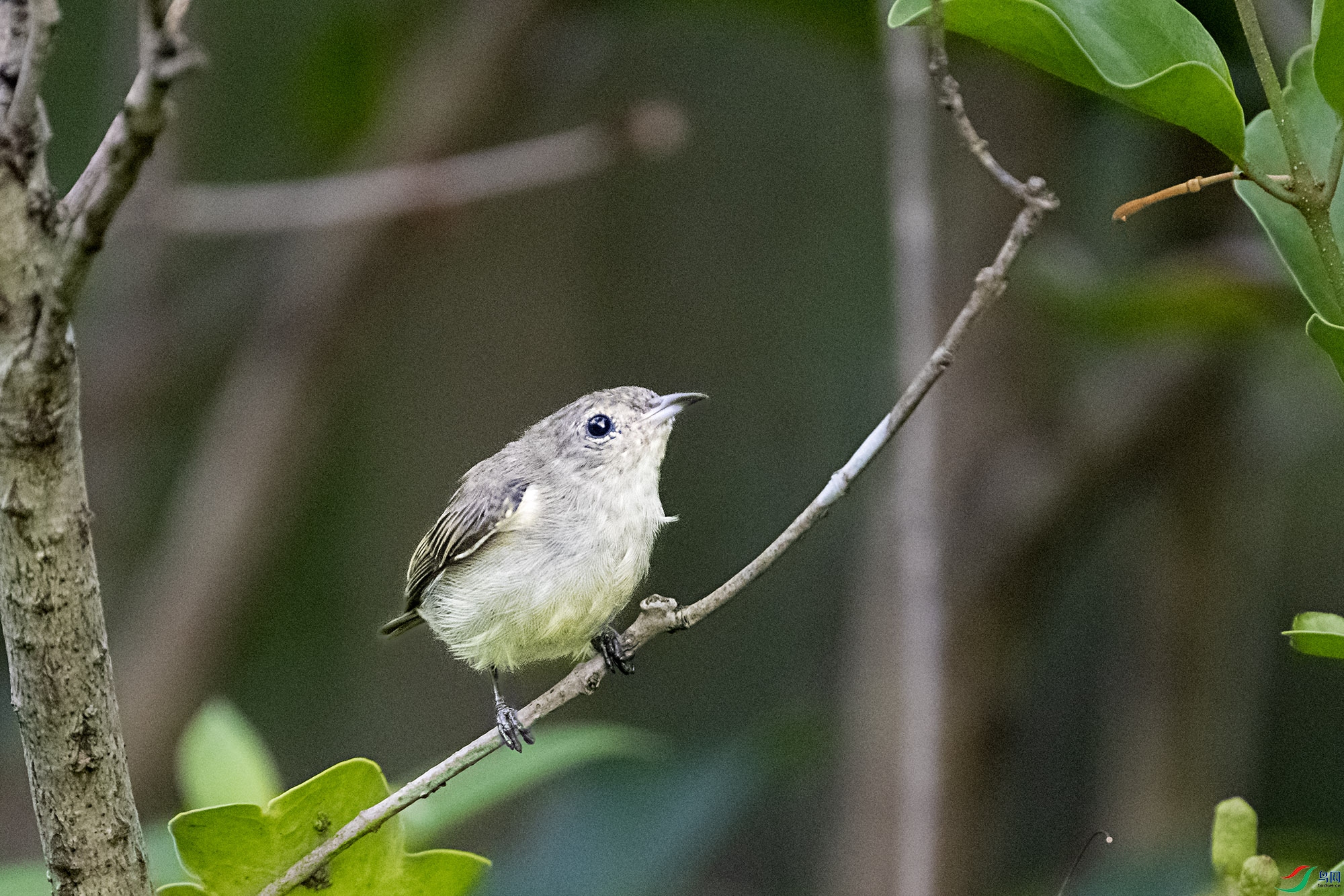 DSC_7071.jpg