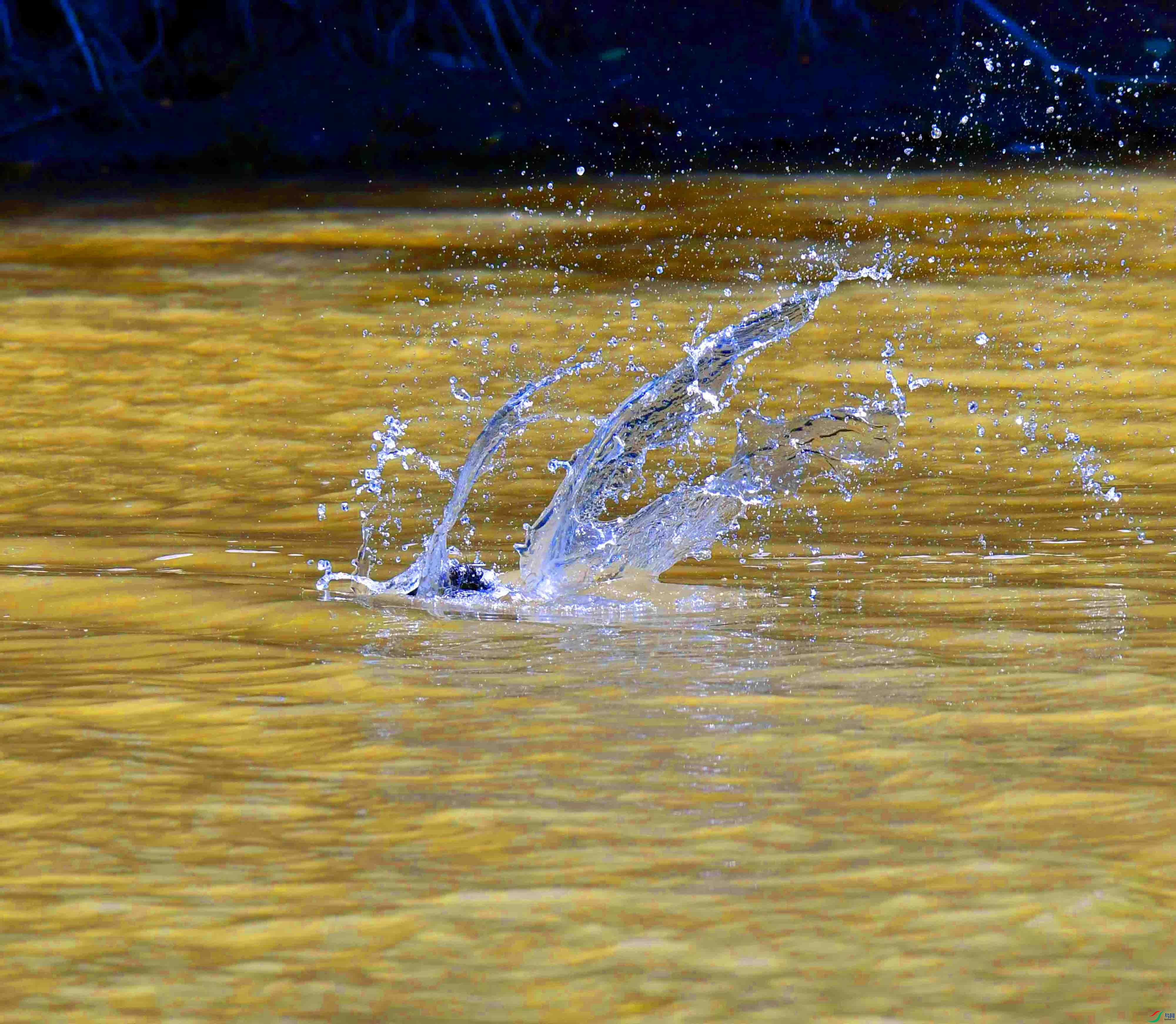 DSC_0849.JPG