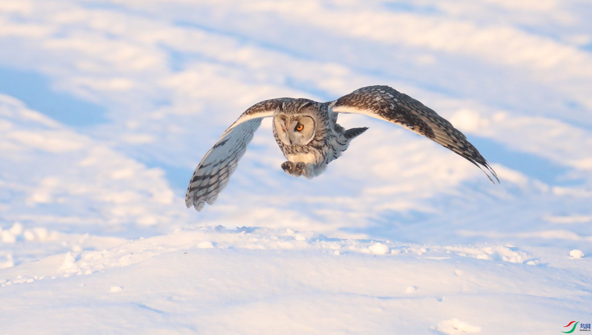 9G8A9762 ����.jpg