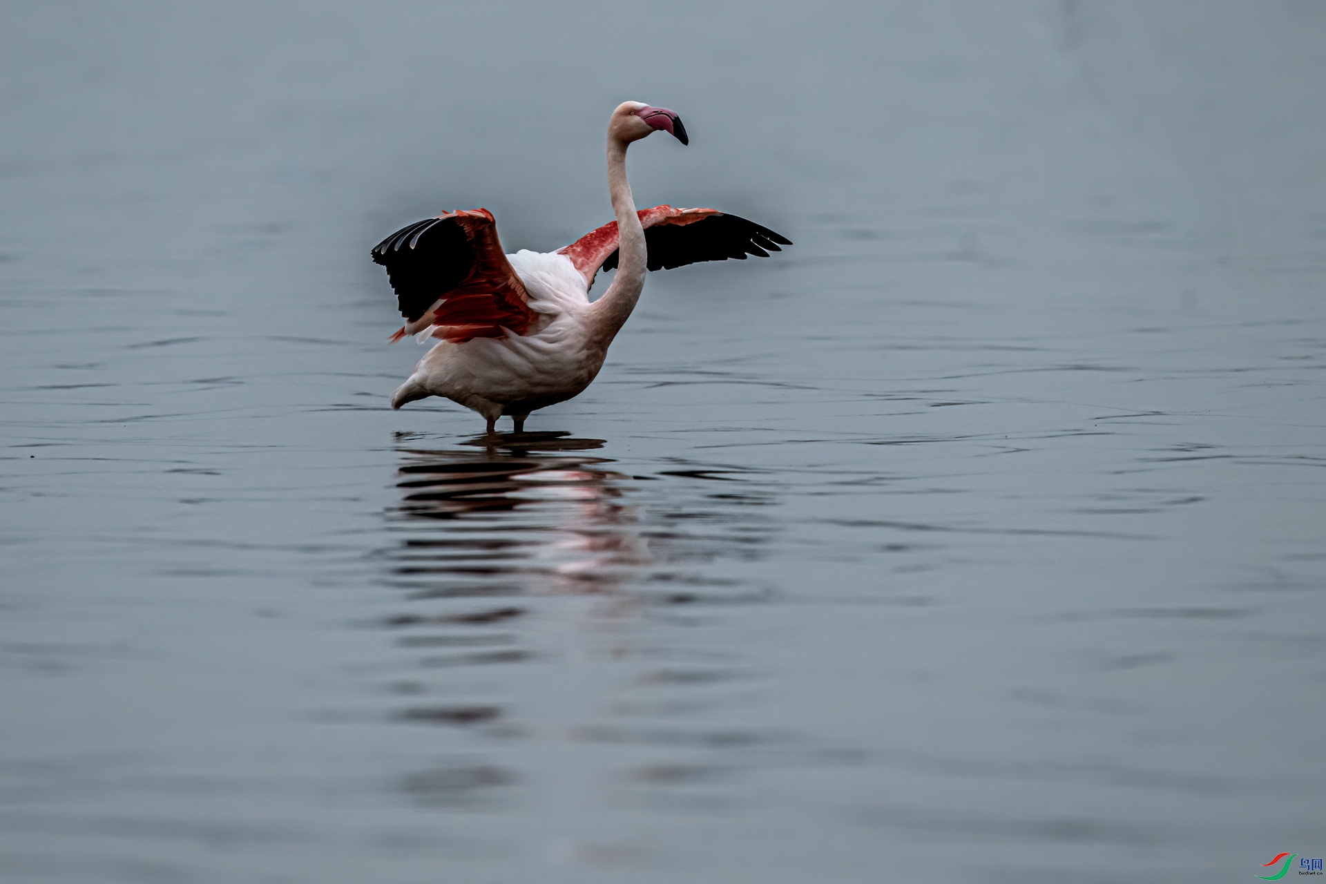 DSC_0412-11.jpg