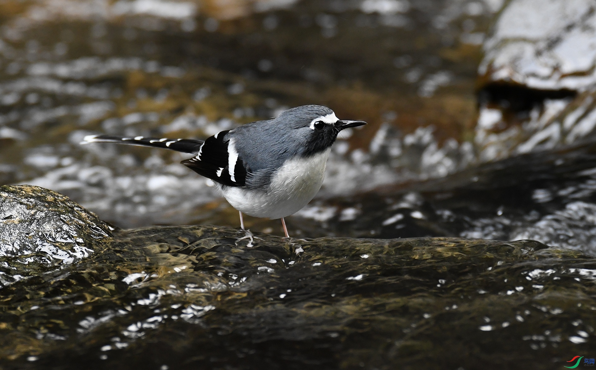 DSC_7908.jpg