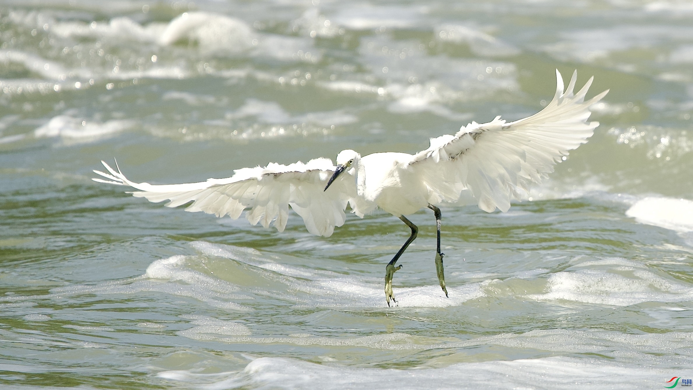 _DSC6430.jpeg
