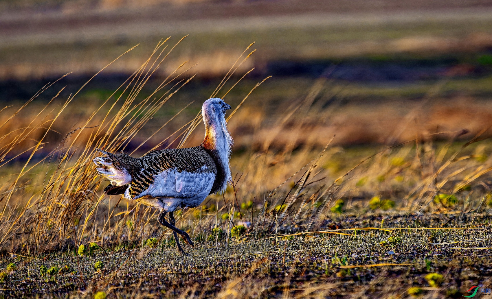 ��� (11)-01.jpg