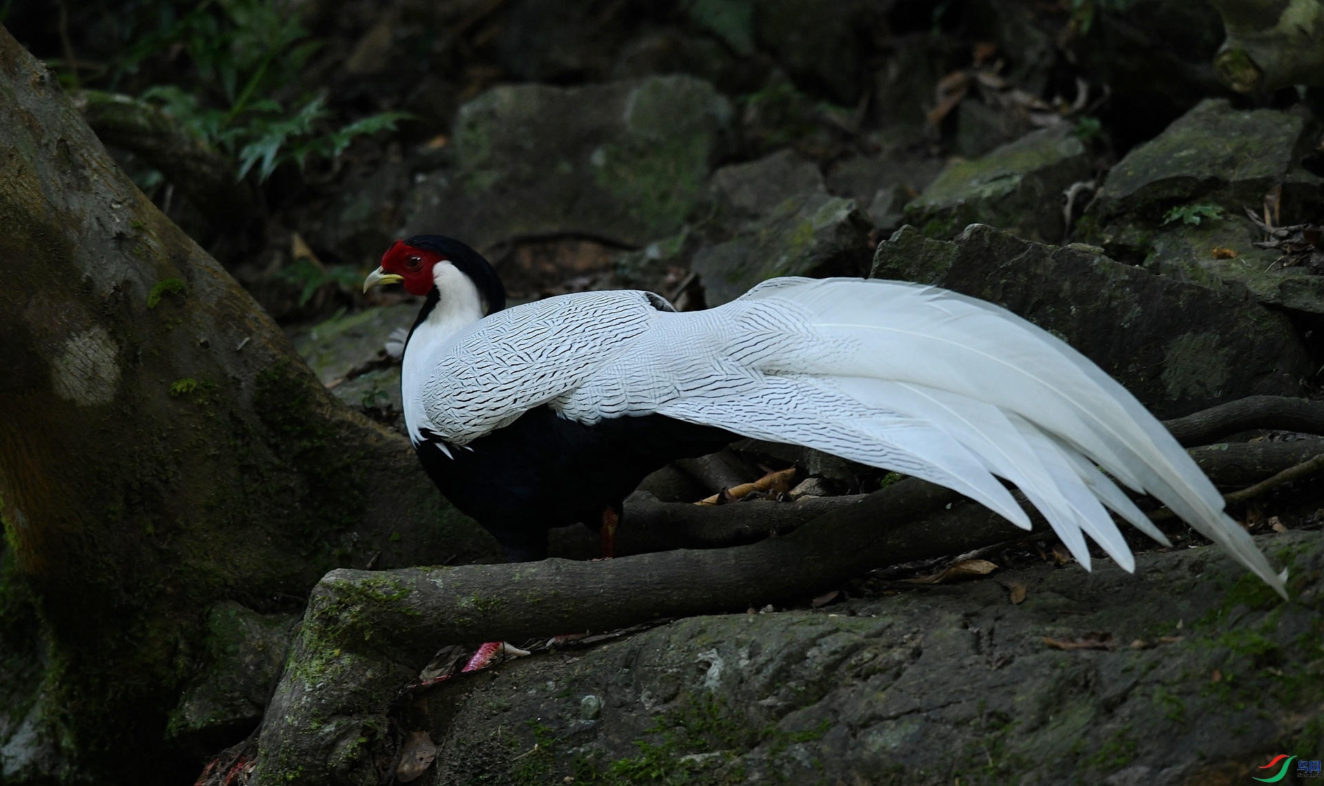 DSC_5741.jpg
