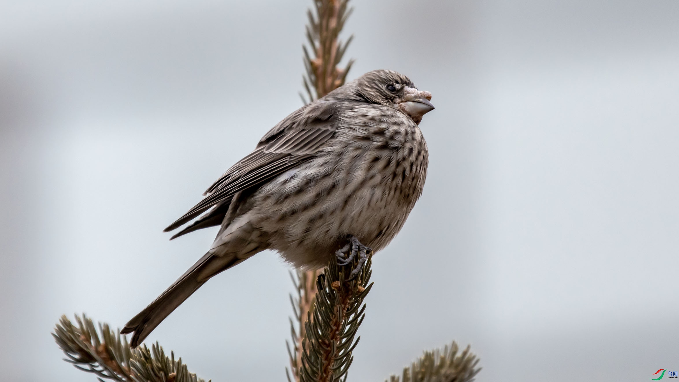 I99A0018 �����ȸ ����.jpg