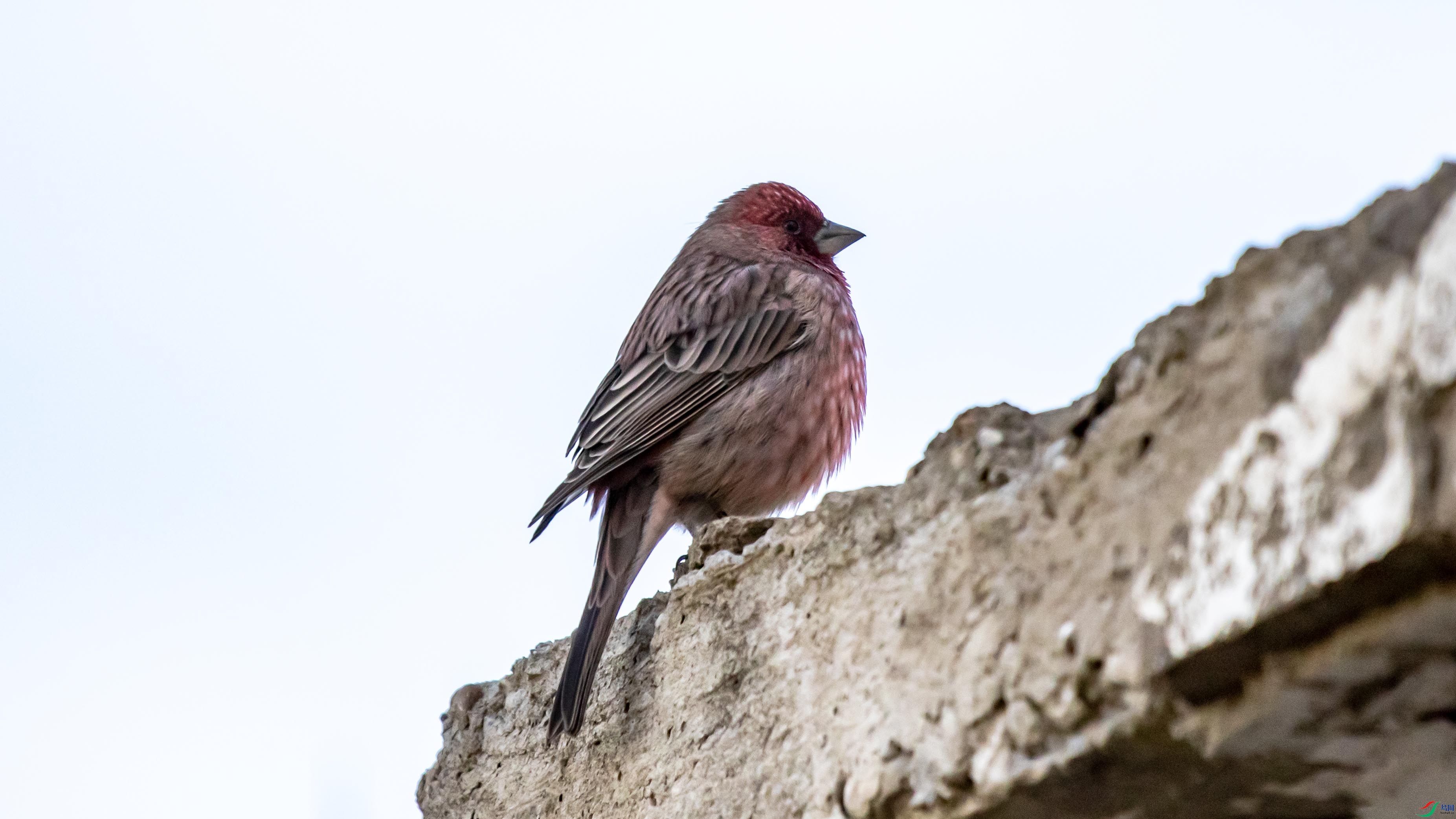 I99A0123 �����ȸ.jpg