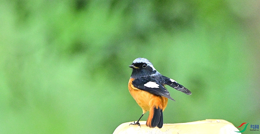 DSC_7042.JPG