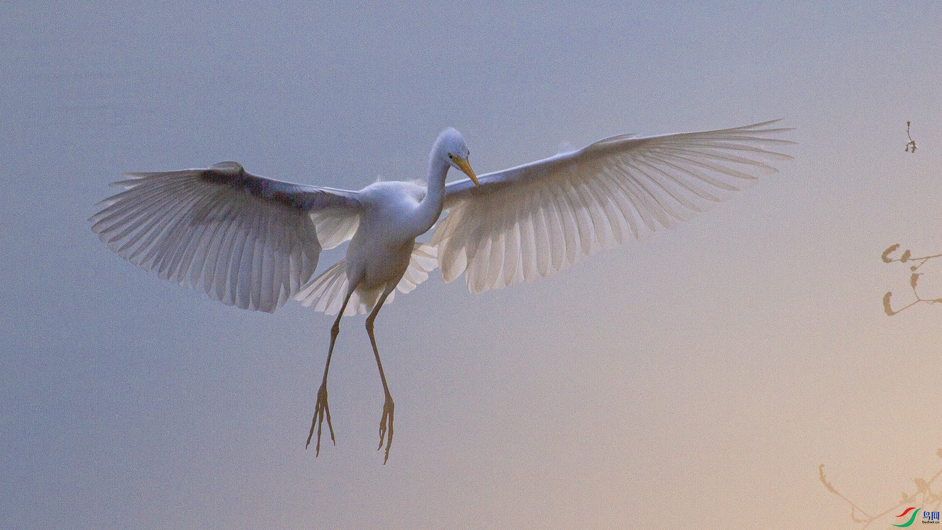 _MG_2399 ���� 2.jpg