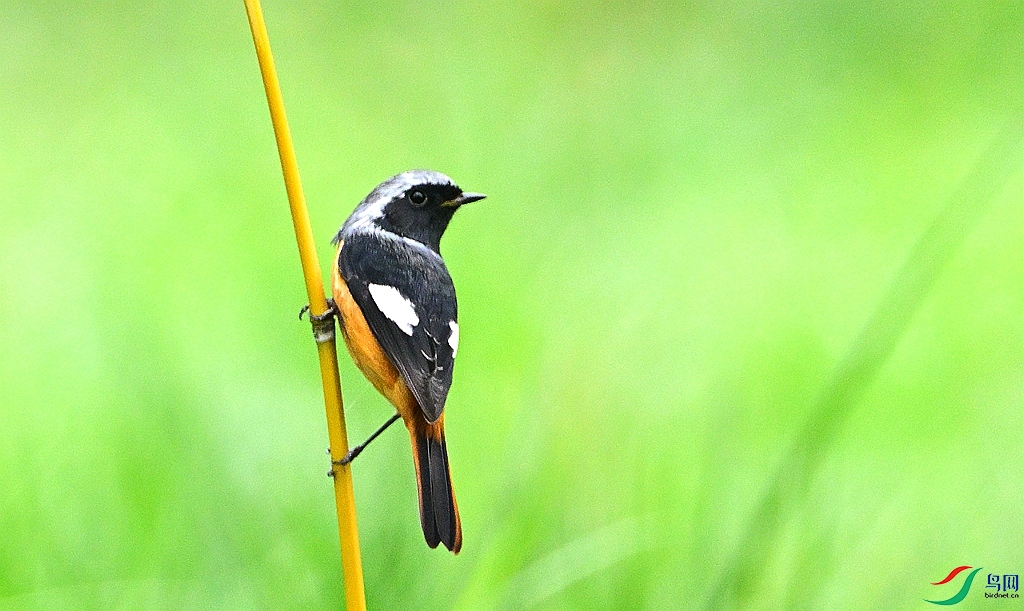 DSC_6845.JPG