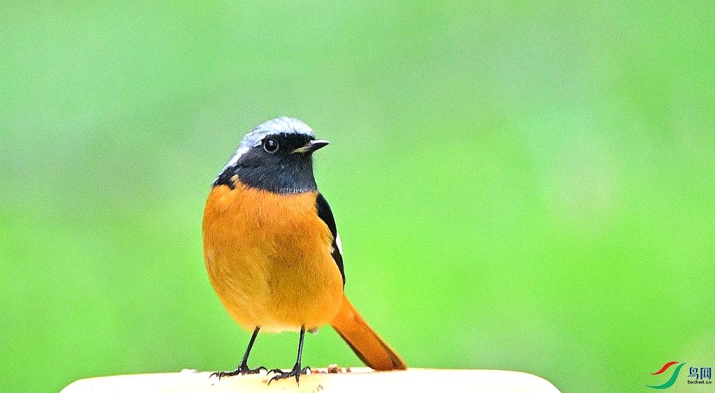 DSC_6983.JPG