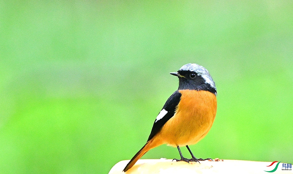 DSC_6997.JPG