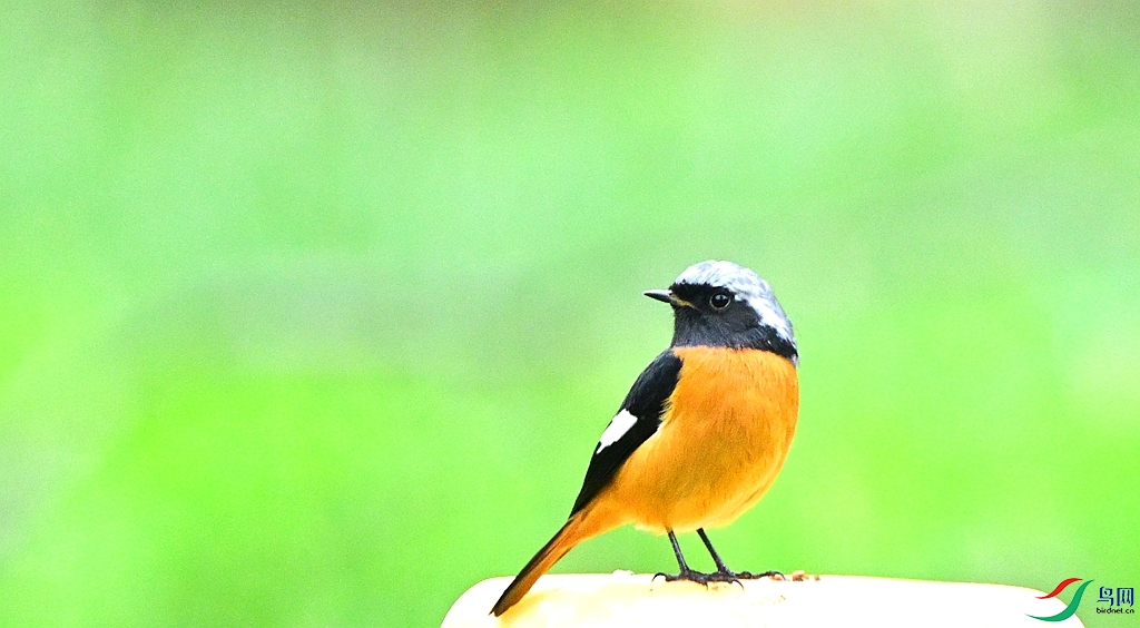 DSC_6999.JPG