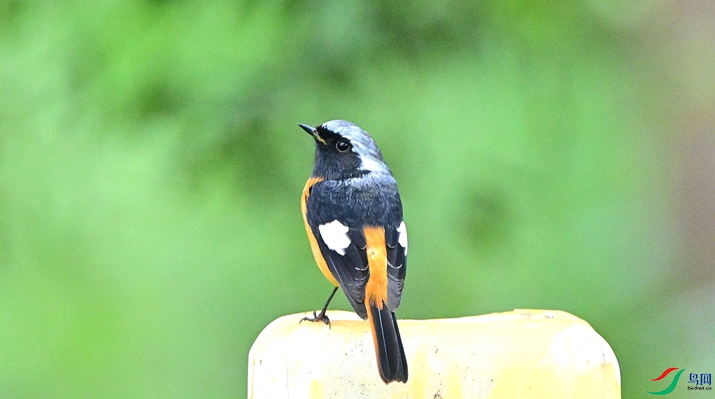 DSC_7037.JPG