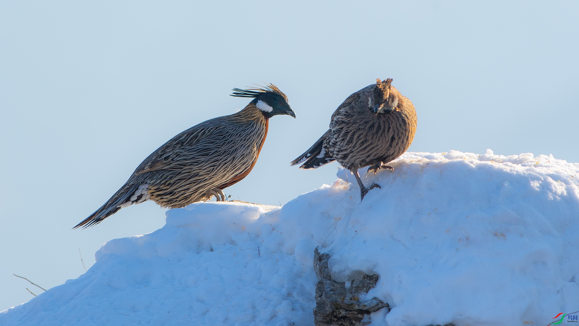 _DSC2734 ����.jpg