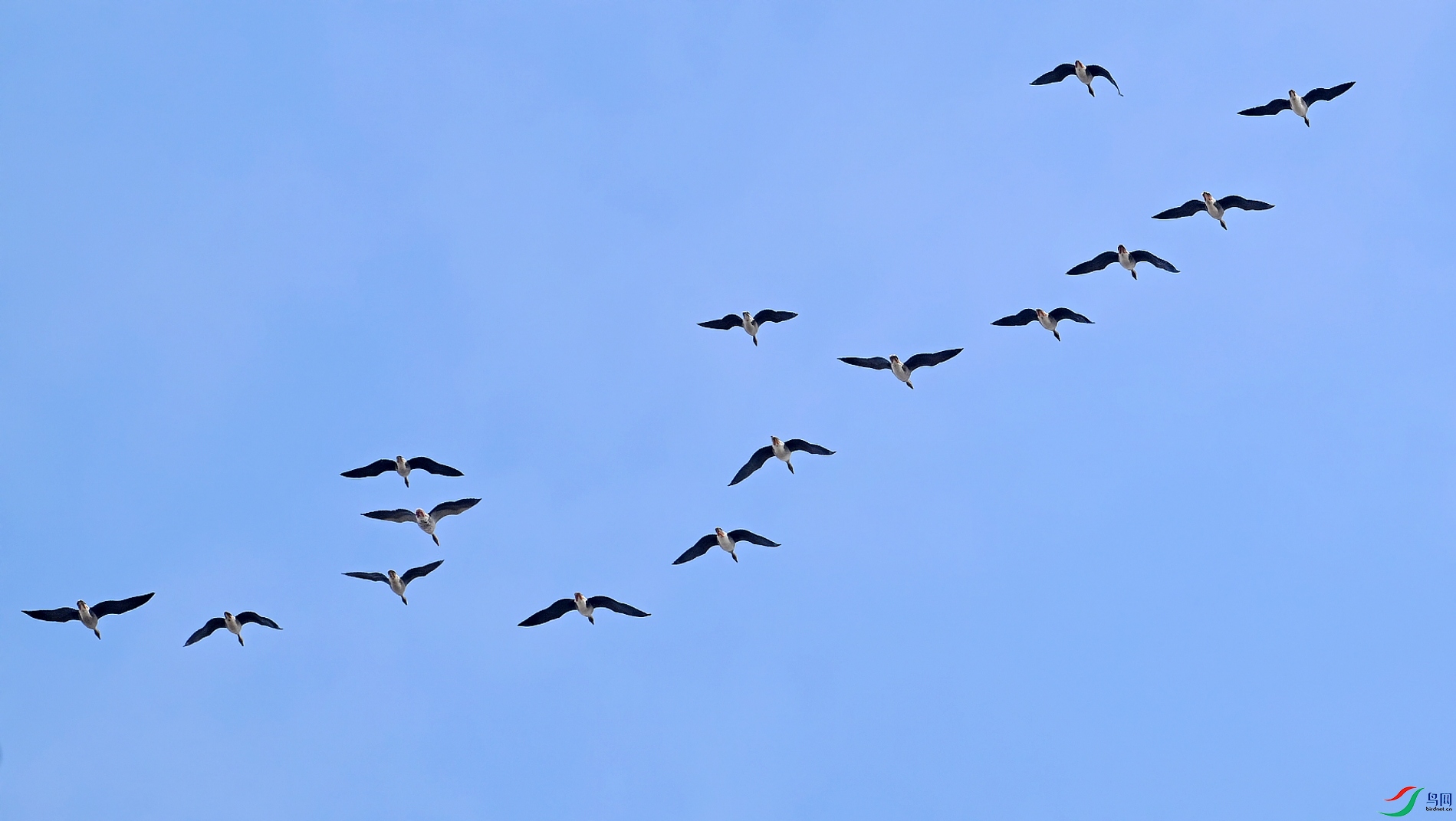 DSC_0001_conew1.jpg