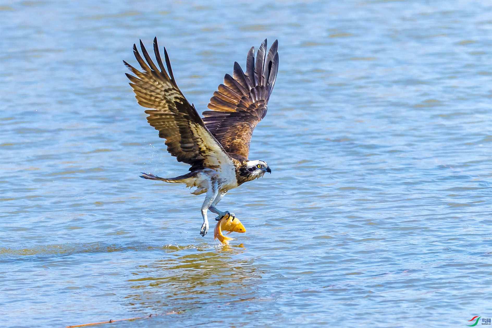 BP2I3293 ���� 2.jpg