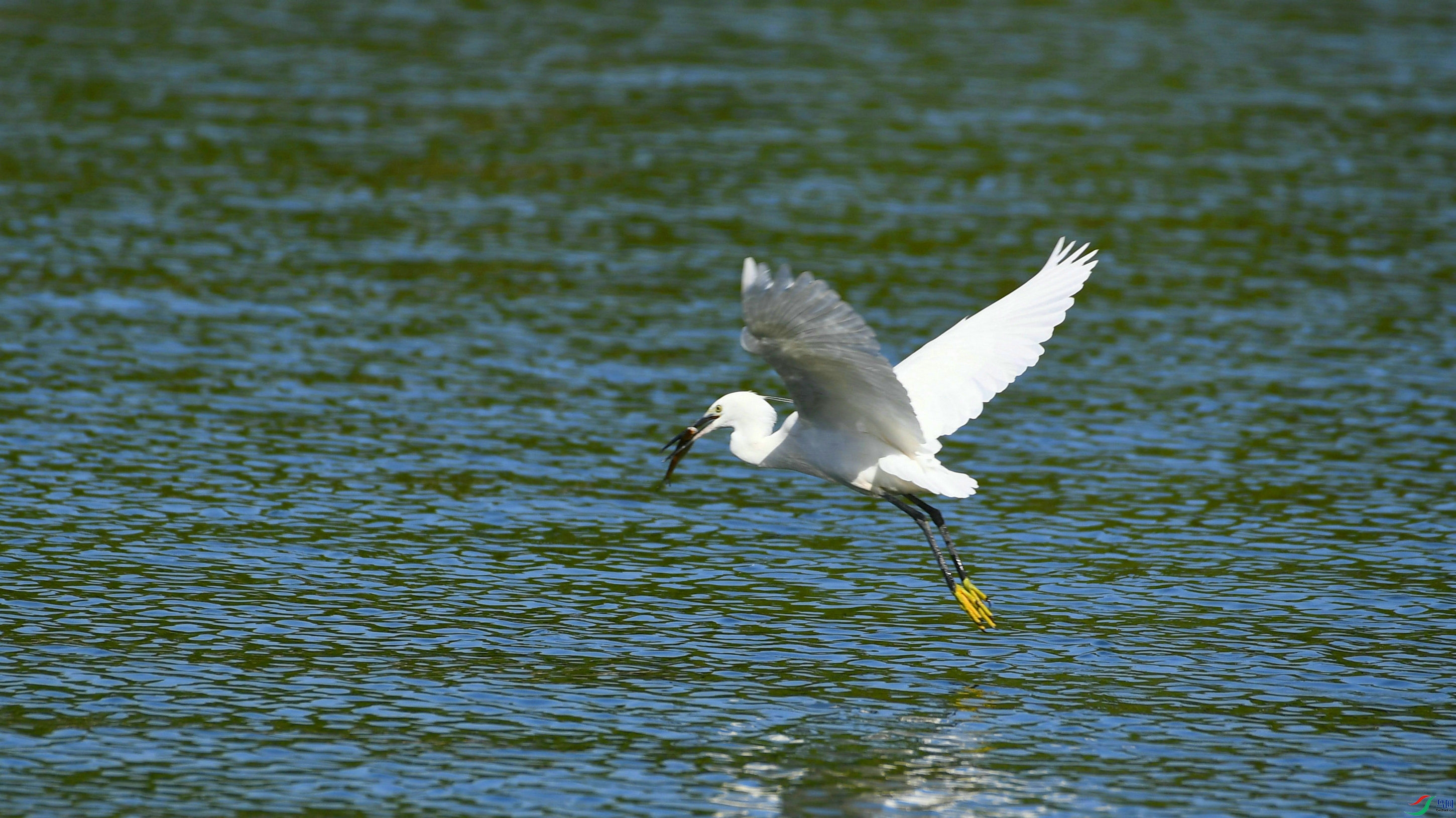 DSC_7545.JPG