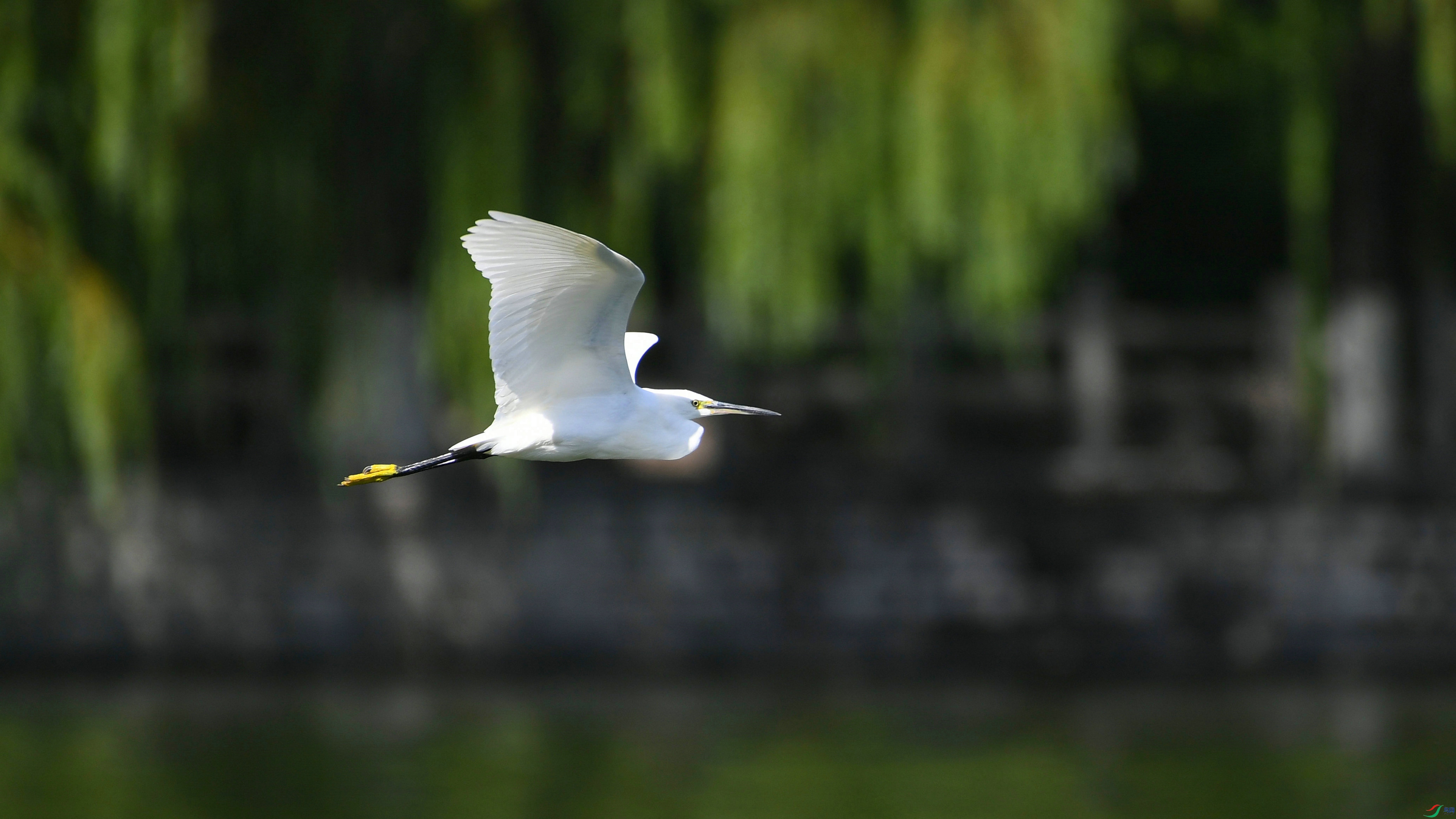 DSC_7624.JPG
