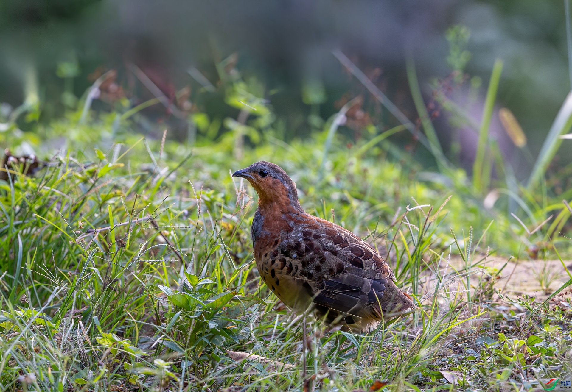 DSC_5761.jpg