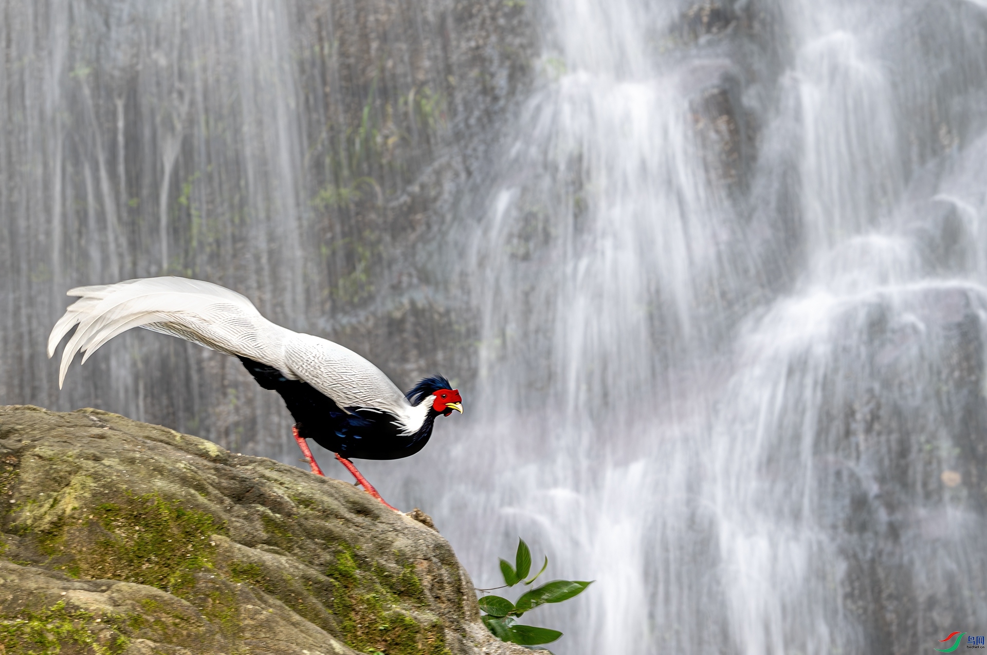 DSC_5024-3.jpg