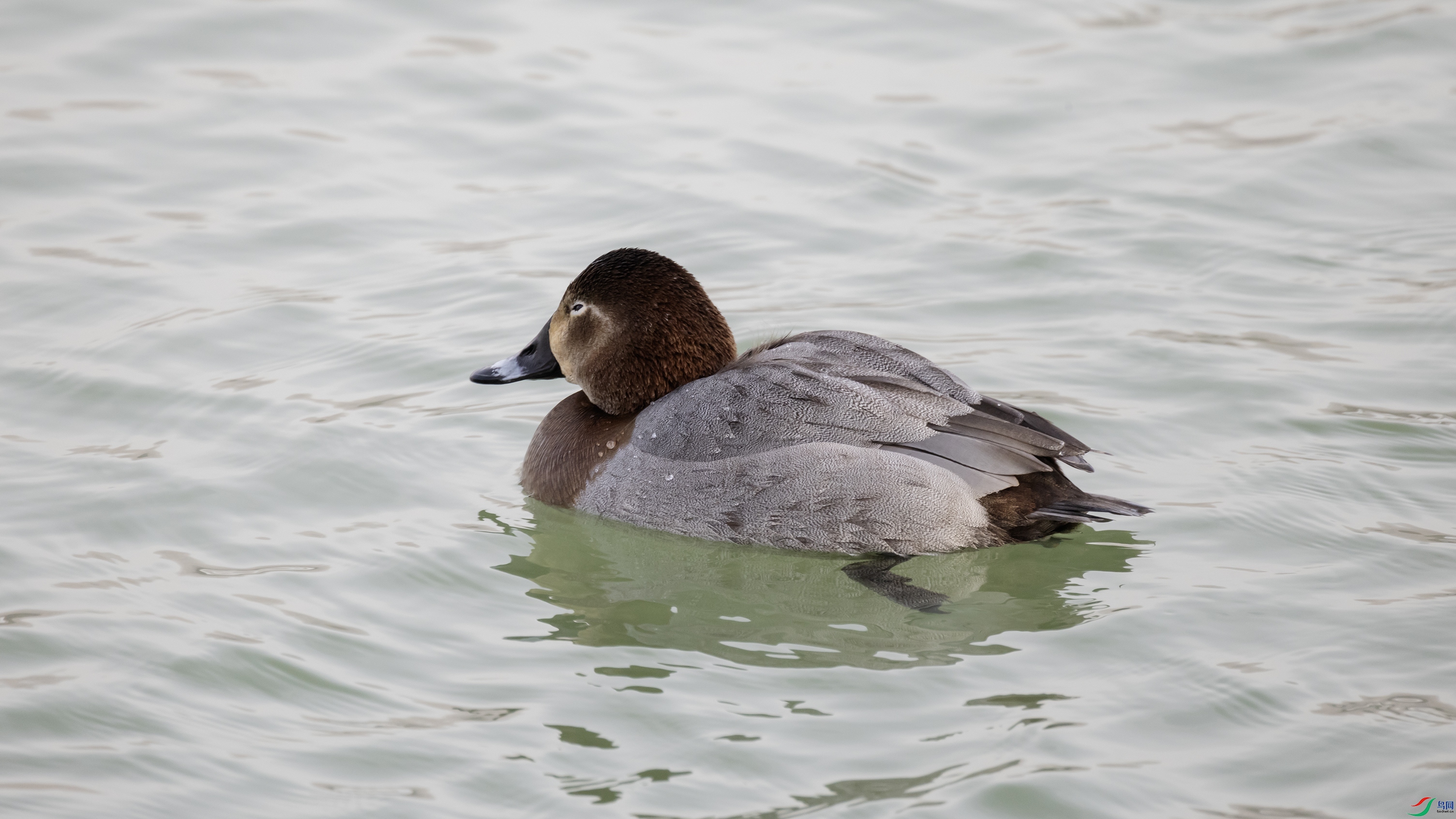 7X5A0381 ����.jpg