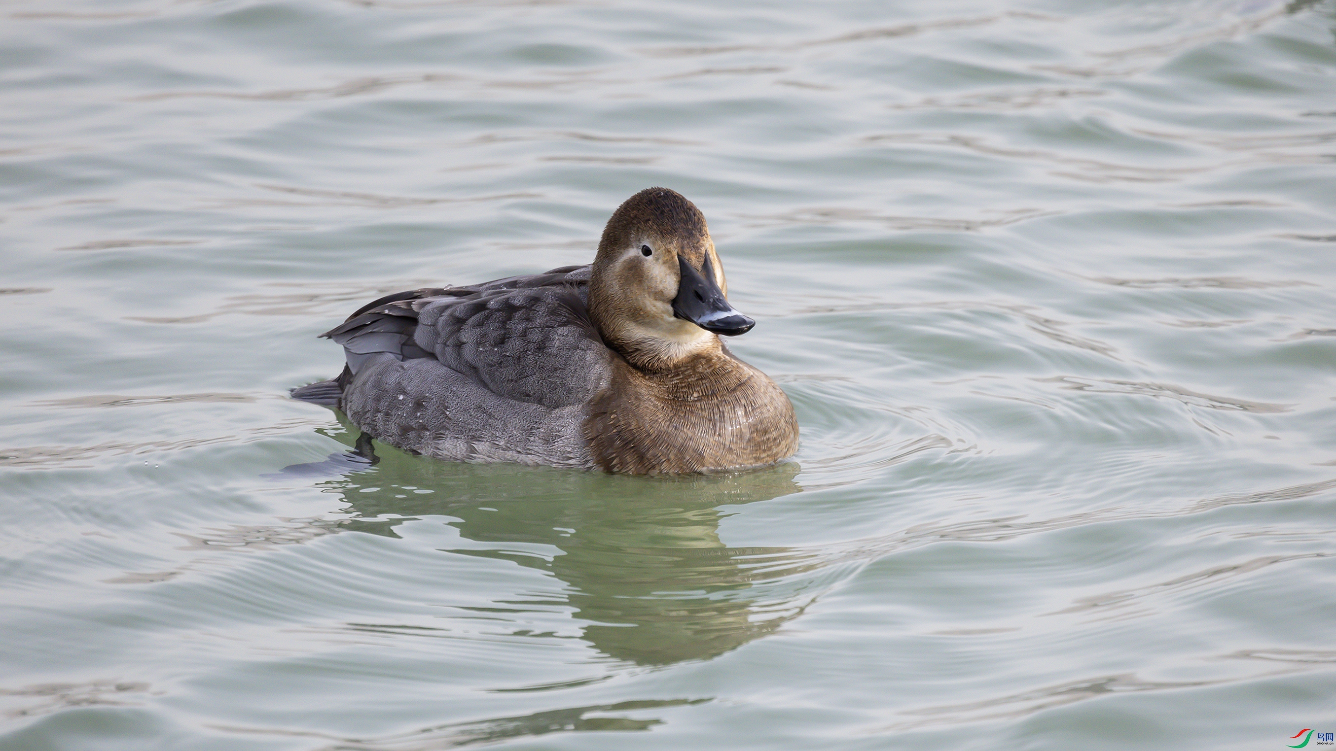 7X5A0394 ����.jpg