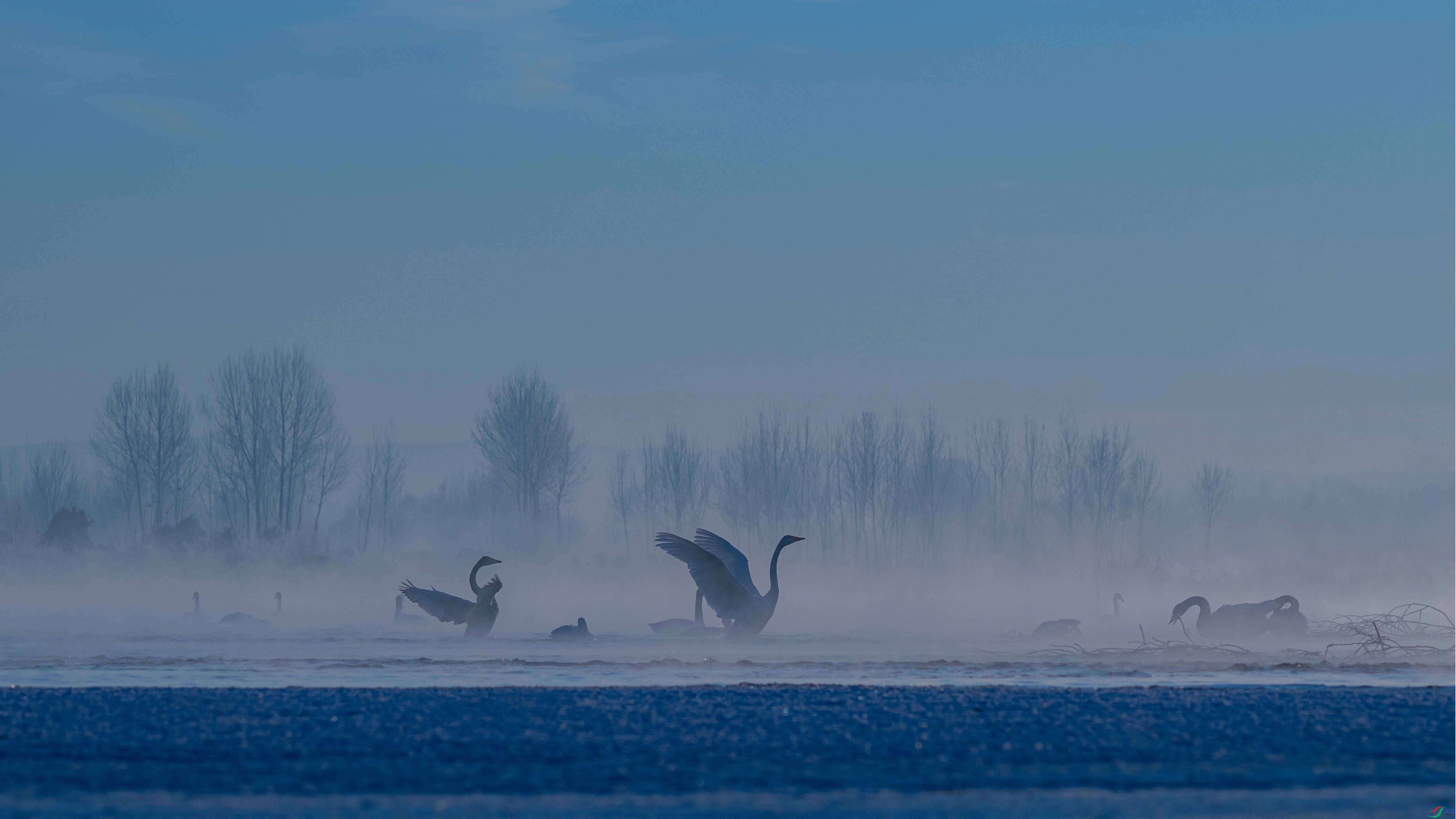 DSC_5998_����.jpg