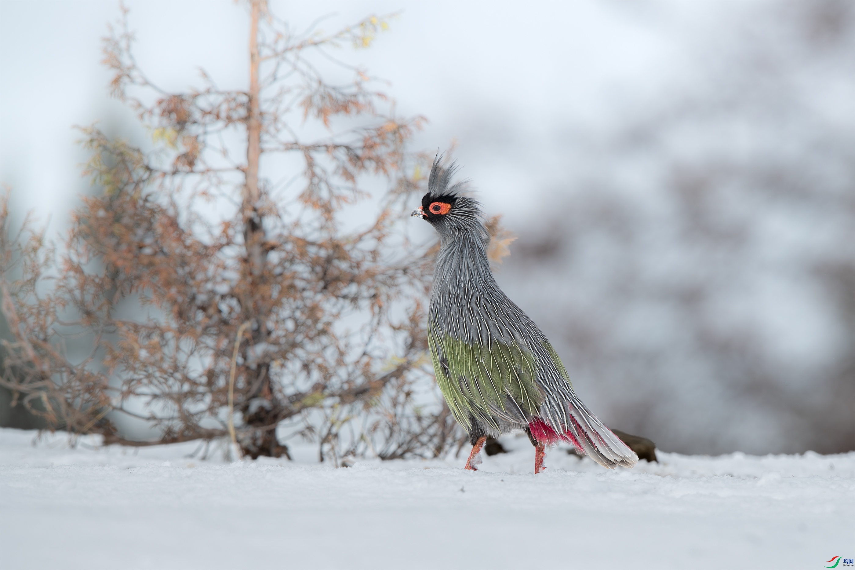 AY8I0654 ����.jpg