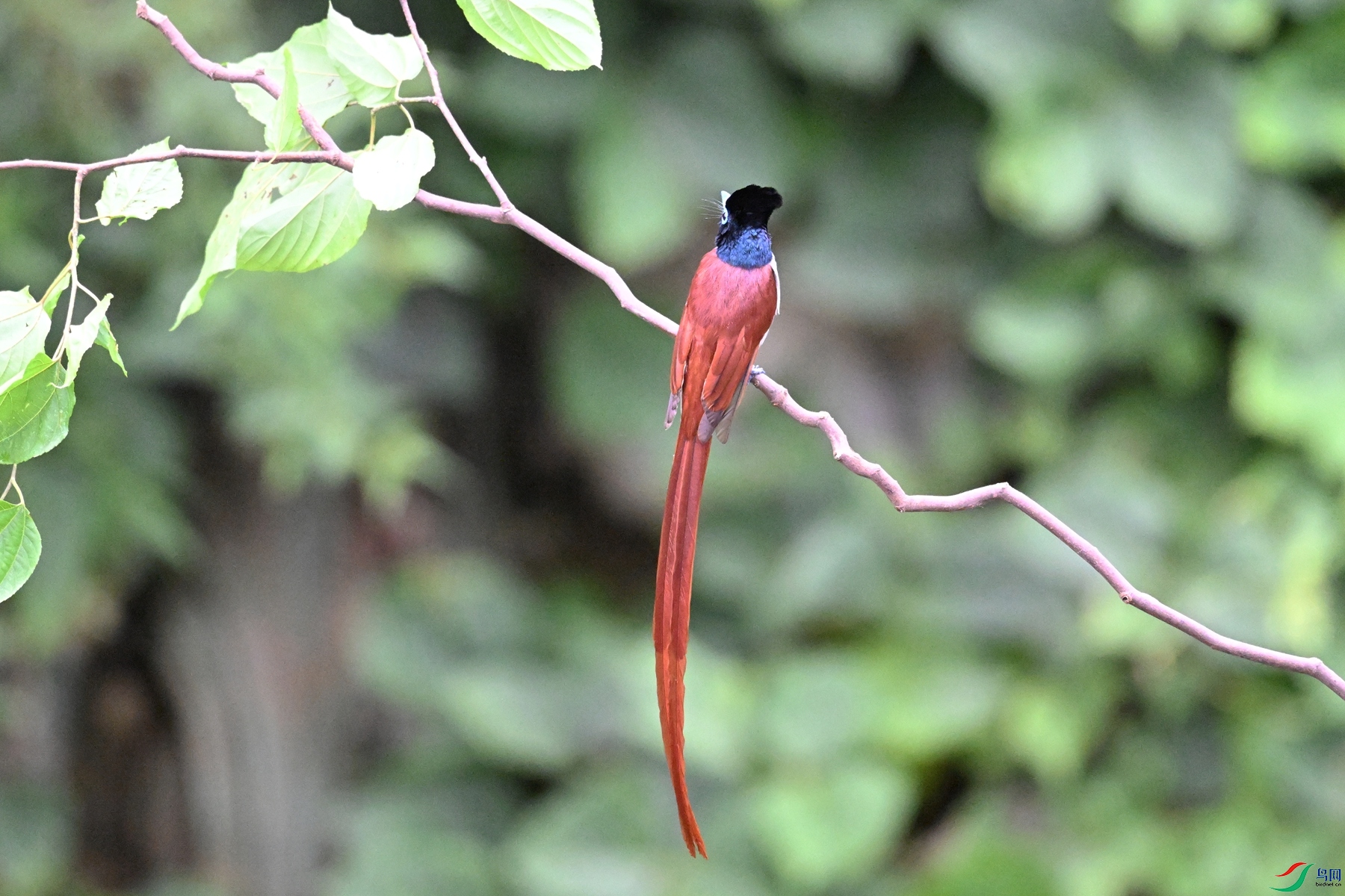 DSC_6706.JPG