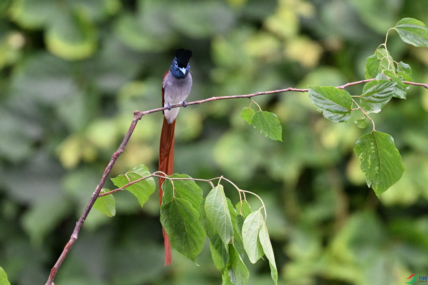 DSC_6737.JPG