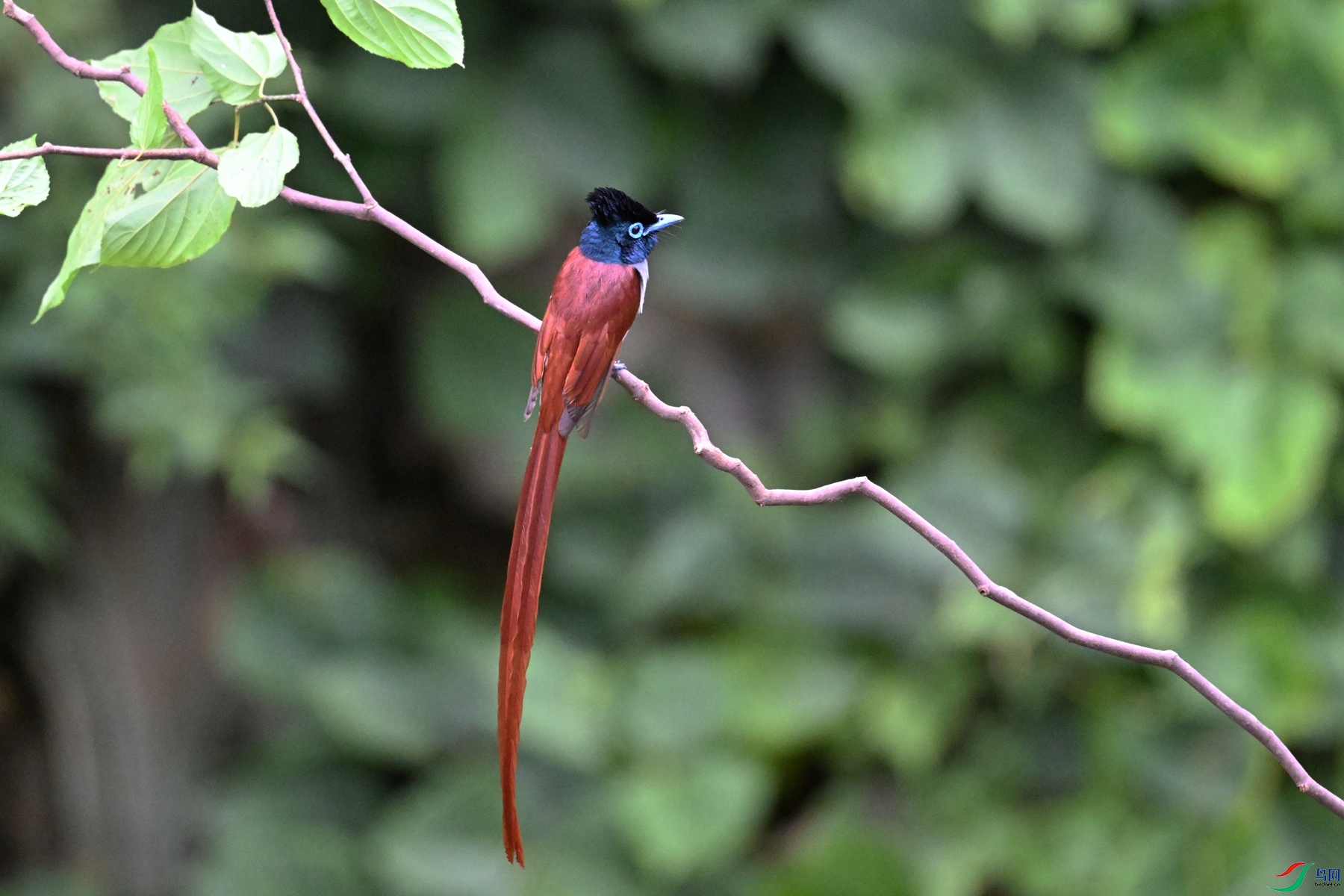 DSC_6714.JPG