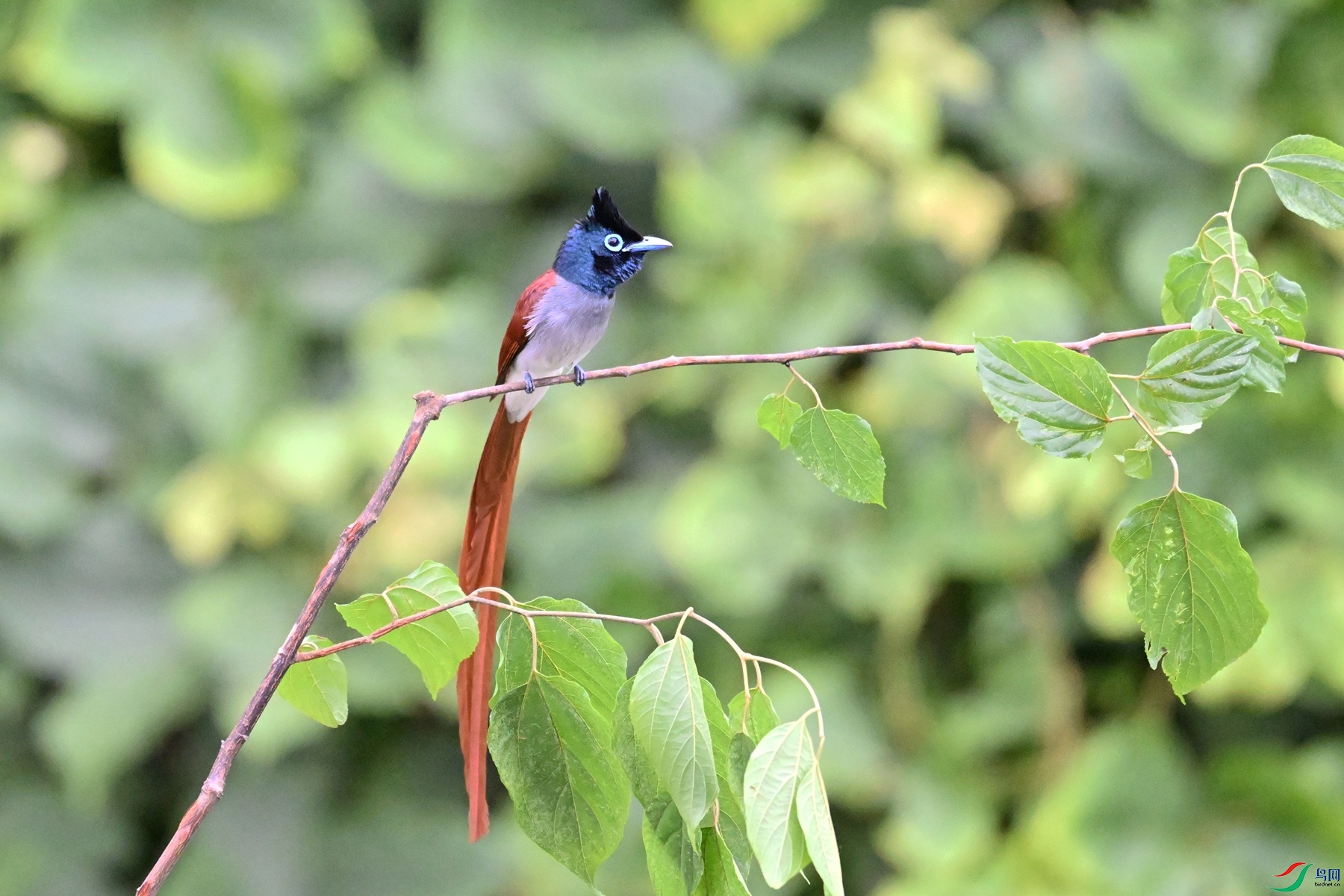 DSC_6739.JPG