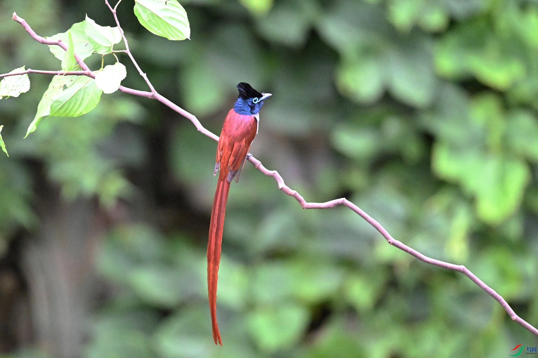 DSC_6713.JPG