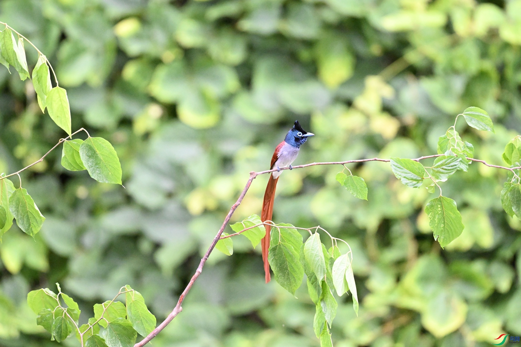 DSC_6740.JPG