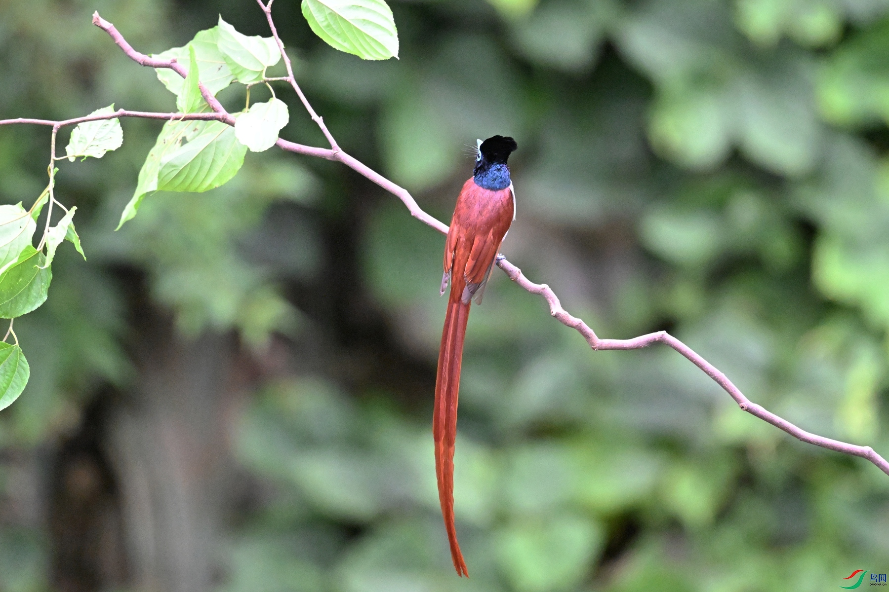 DSC_6708.JPG