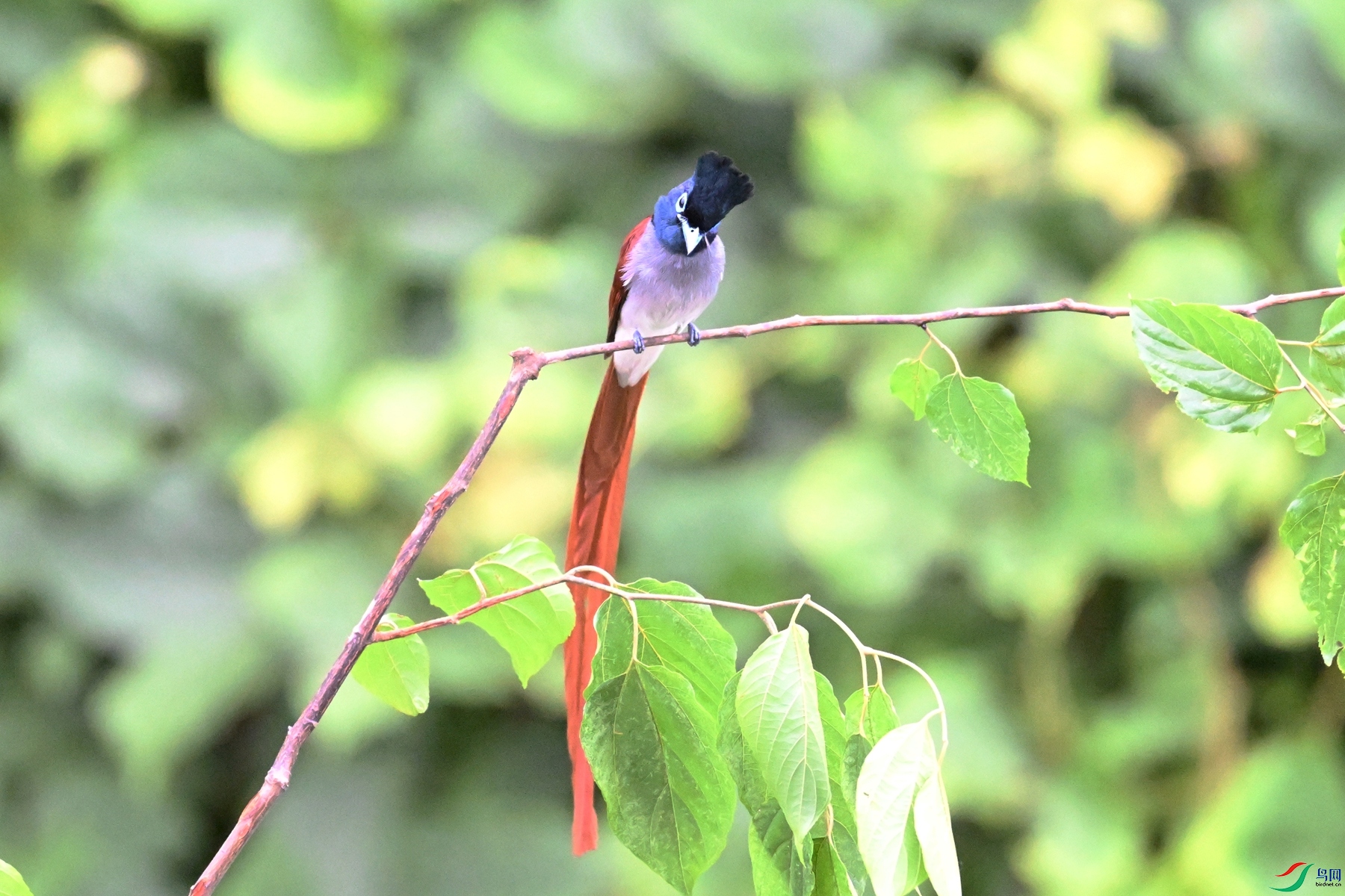DSC_6742.JPG