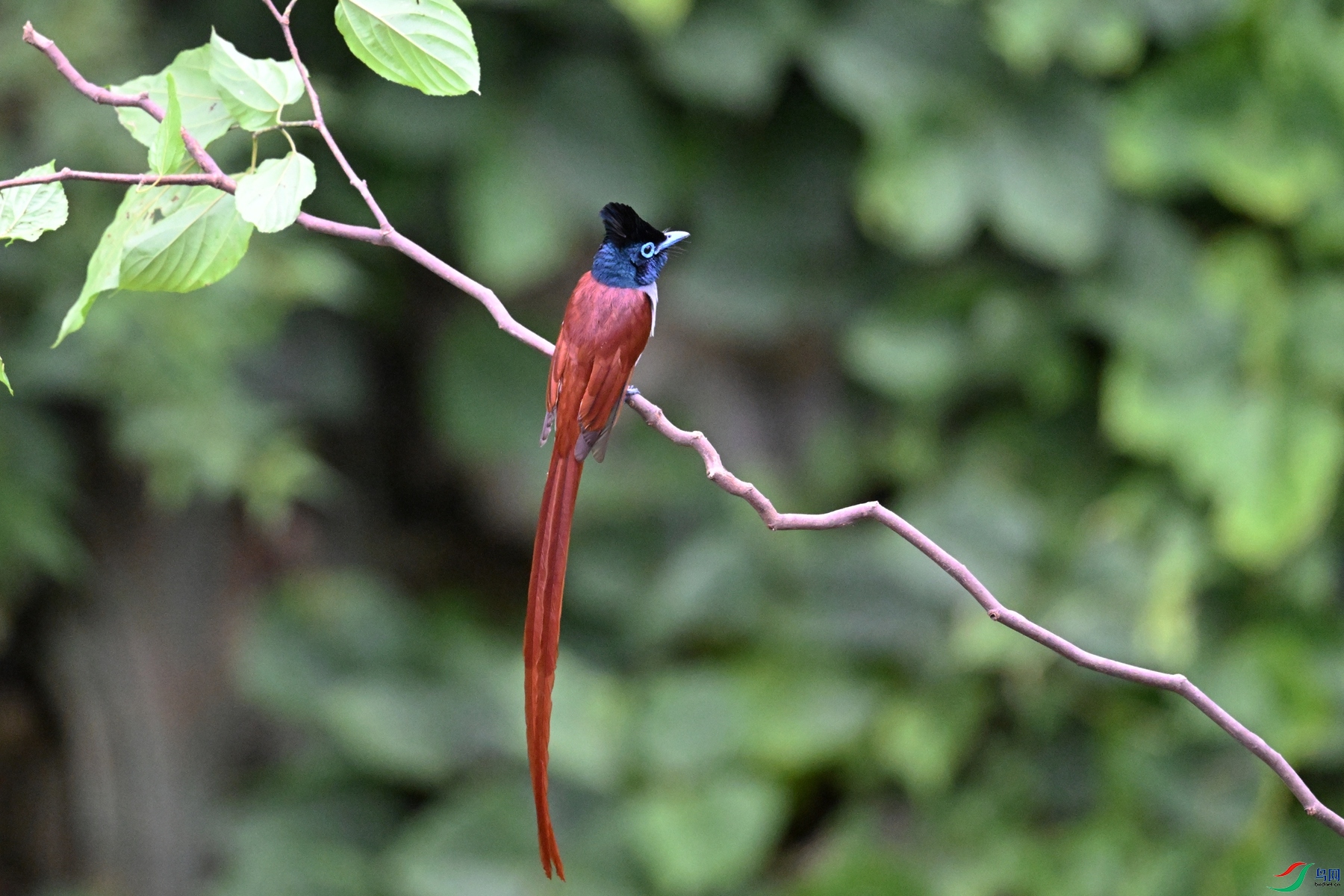 DSC_6709.JPG