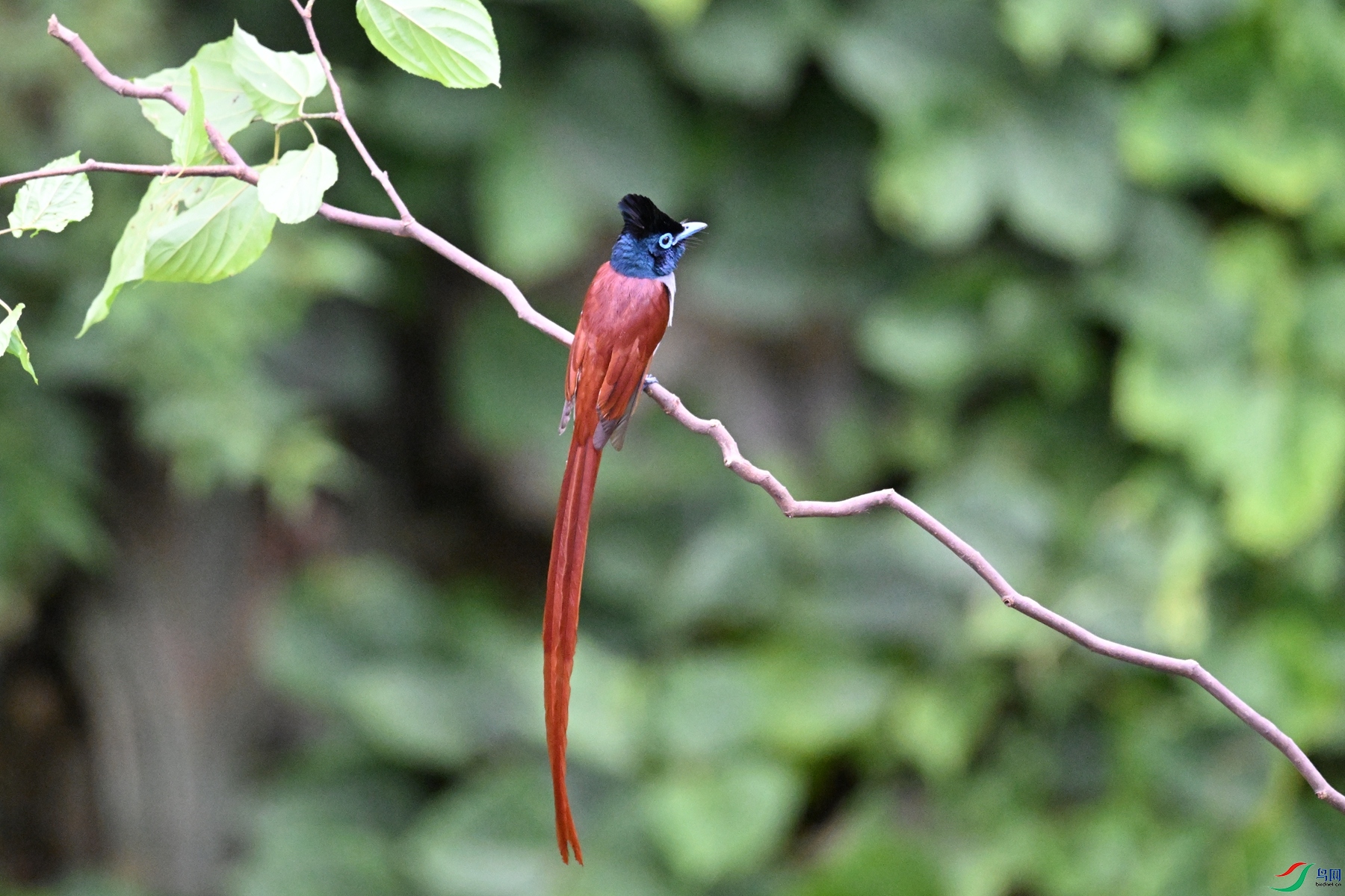 DSC_6710.JPG