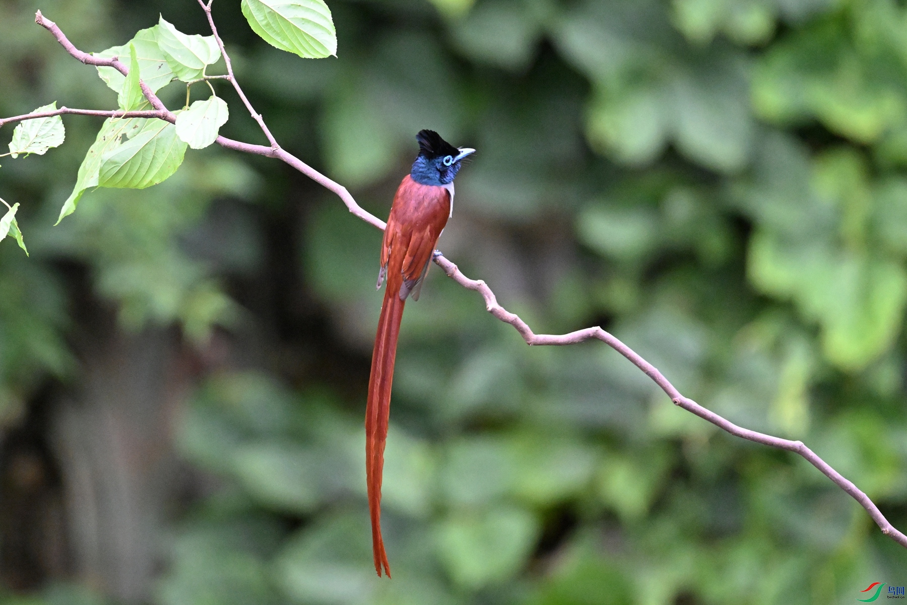 DSC_6711.JPG
