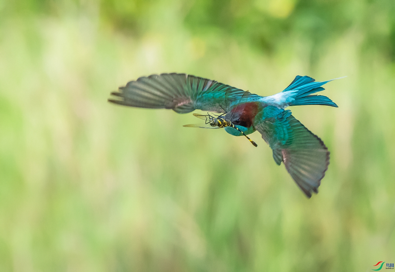 DSC_�����仢 - ���� (2).jpg