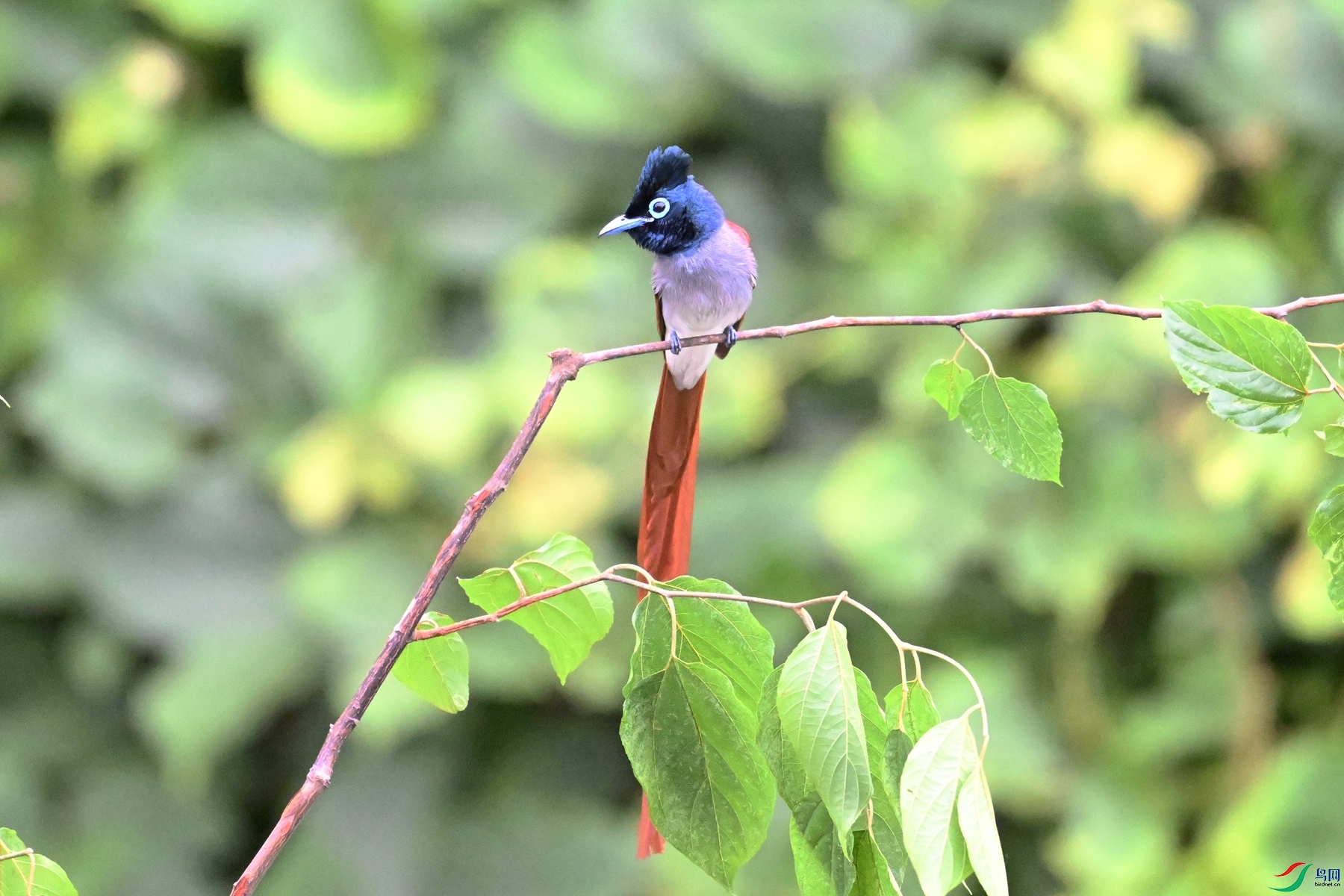 DSC_6748.JPG