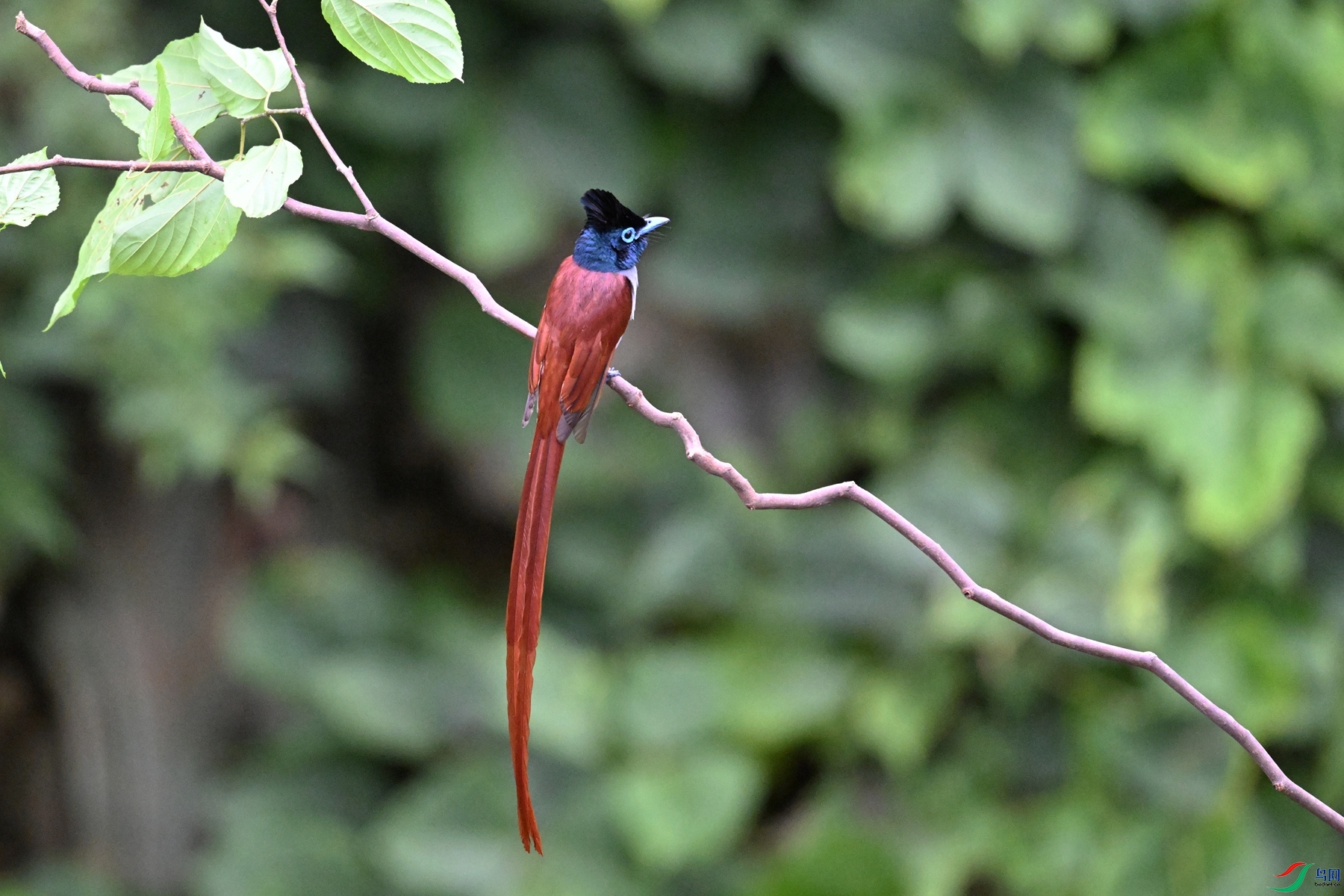 DSC_6712.JPG